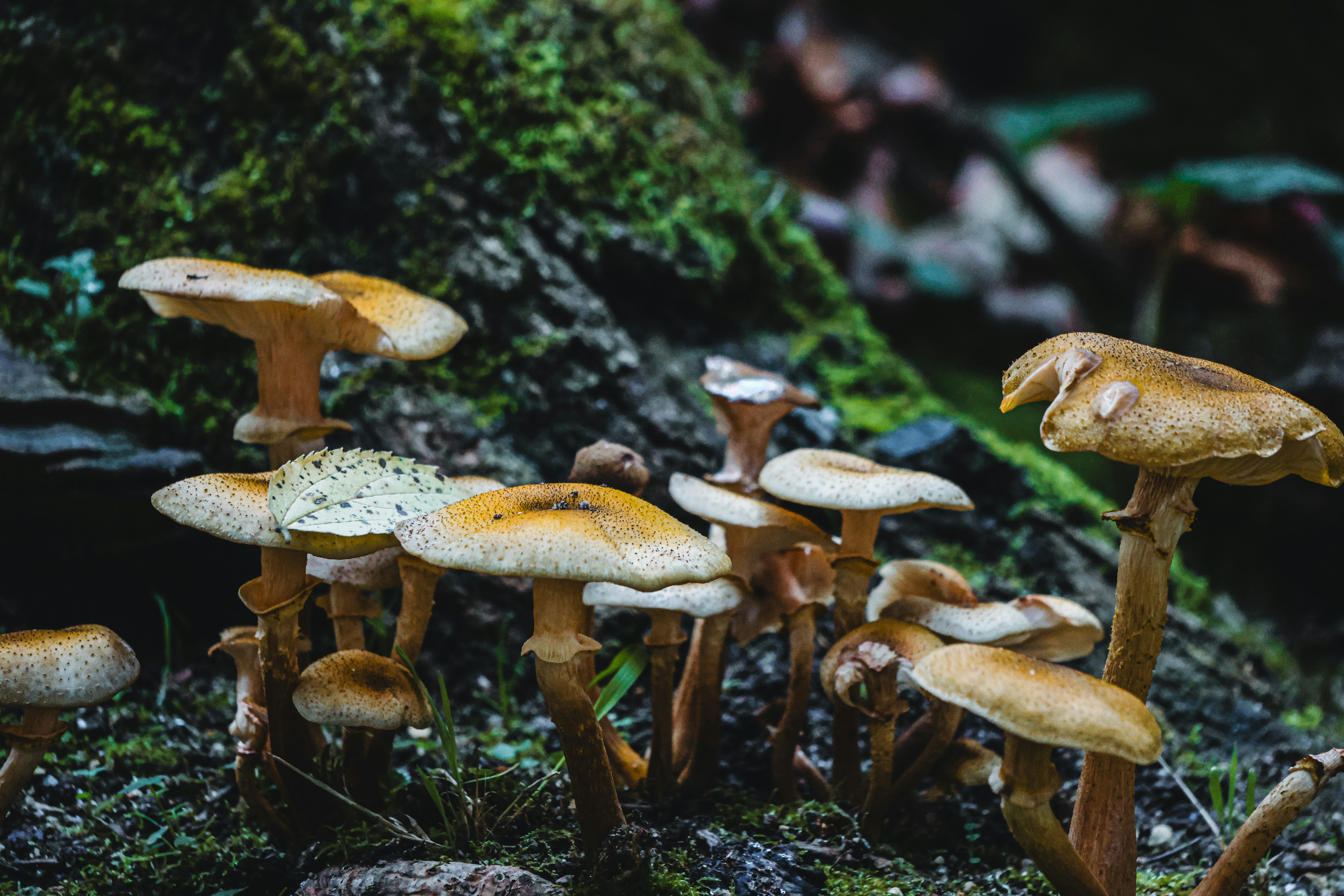 Photo by wendell_adriel