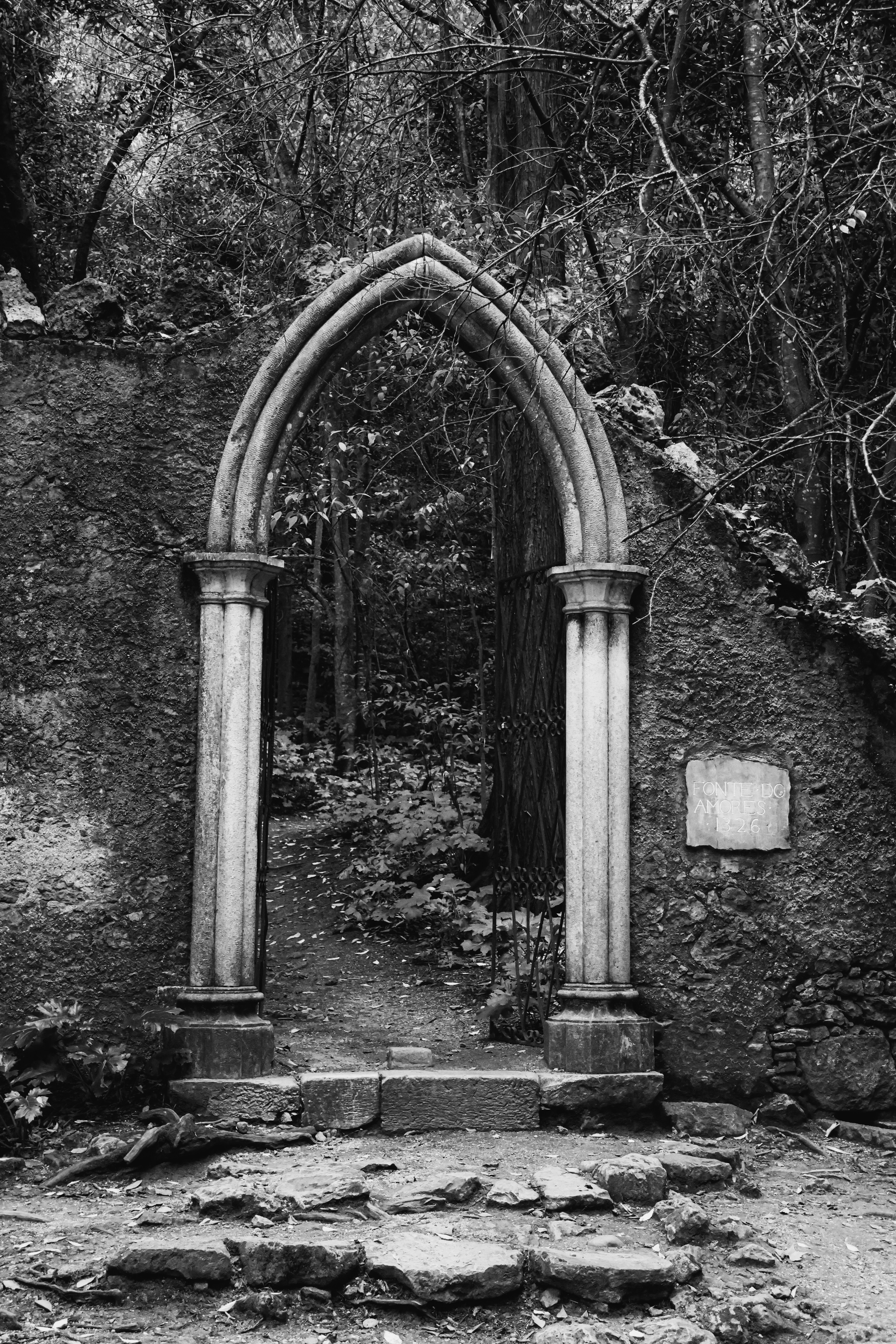 Photo by wendell_adriel