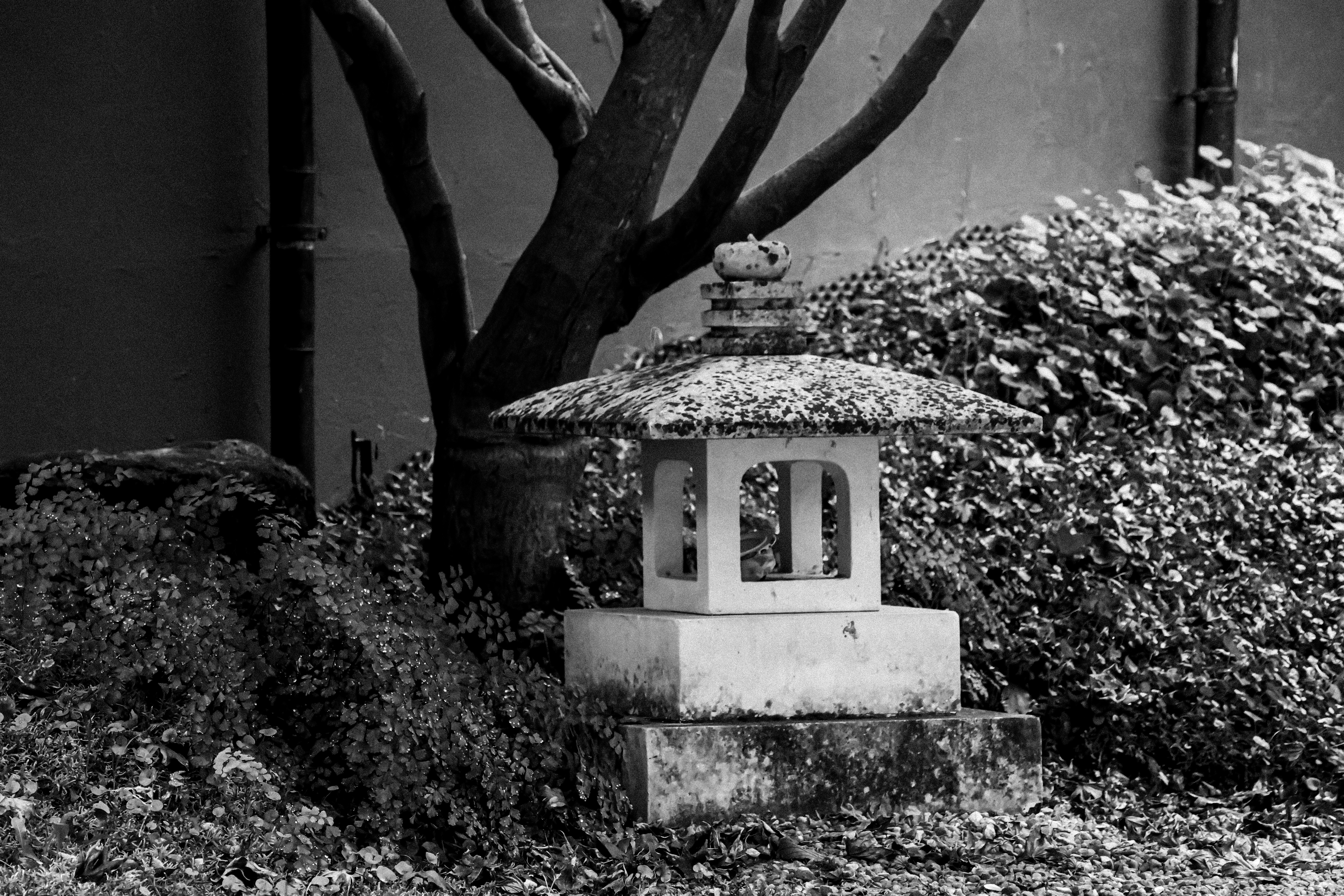 Photo by wendell_adriel