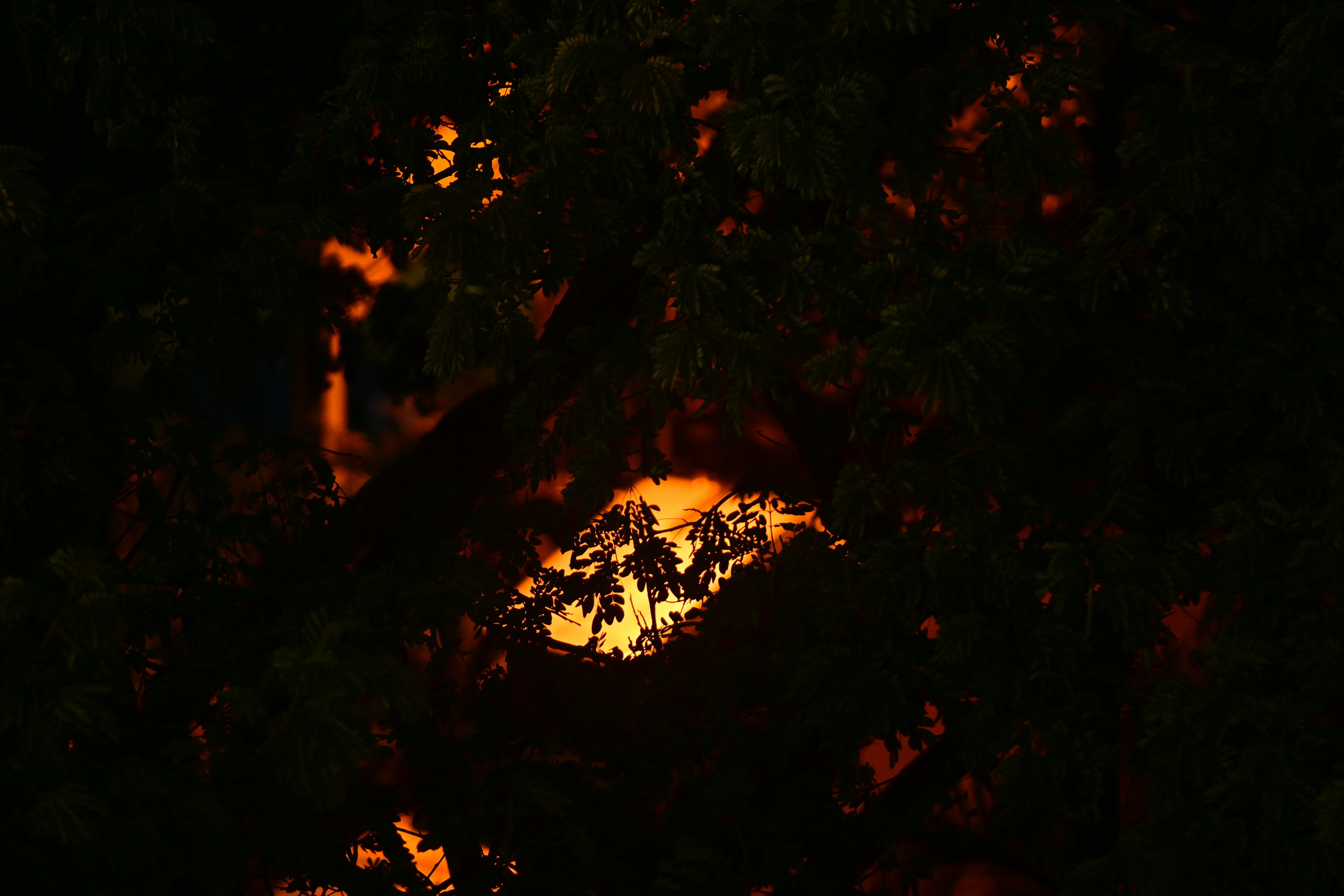 Photo by rrajputphotography