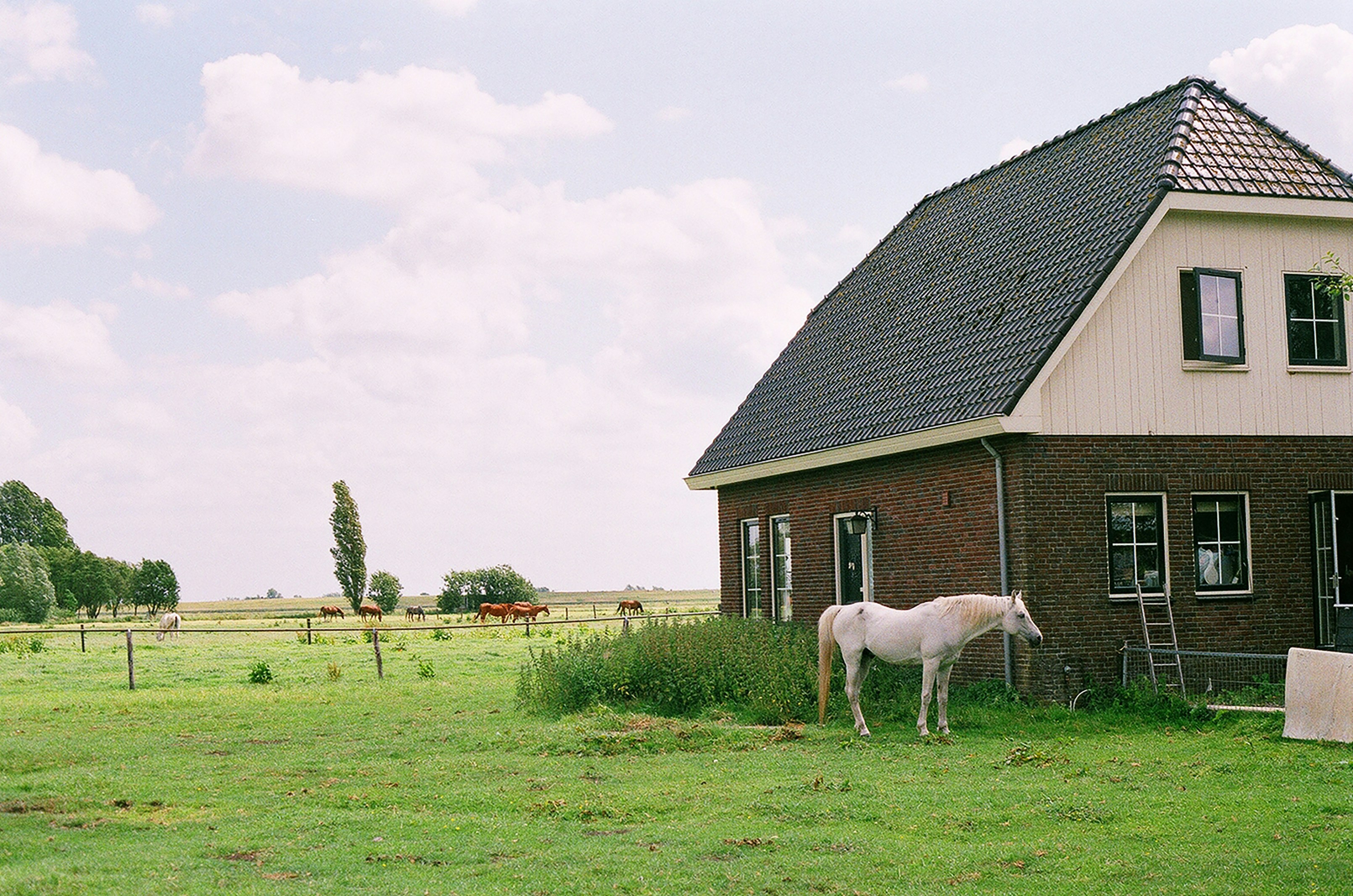 Zomerhof 'De Dry Coninghen'