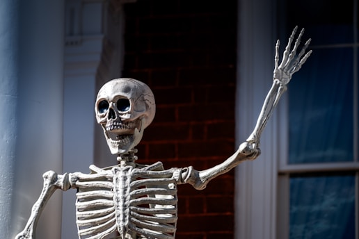 A skeleton sitting on top of a table
