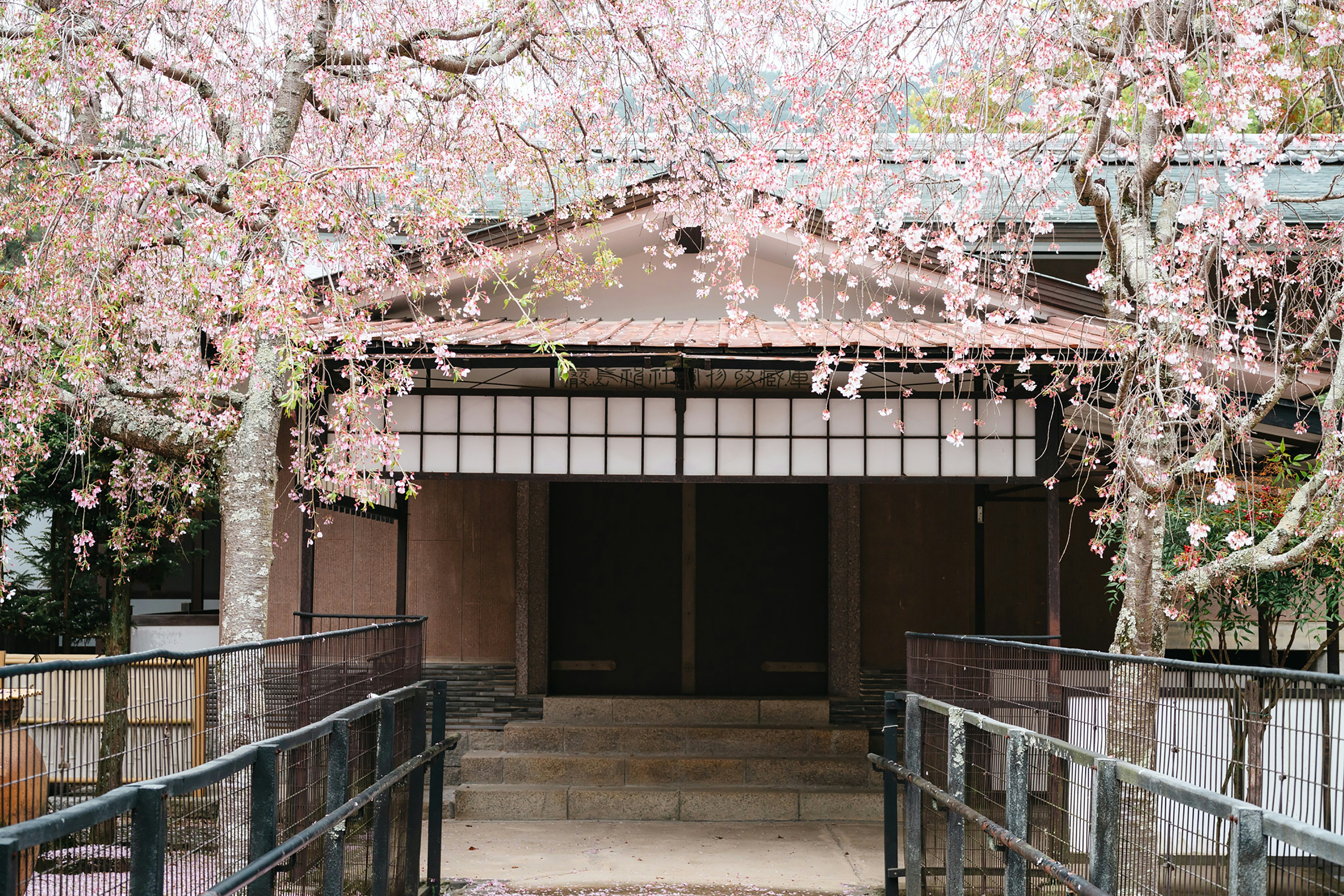 Photo by markuswinkler