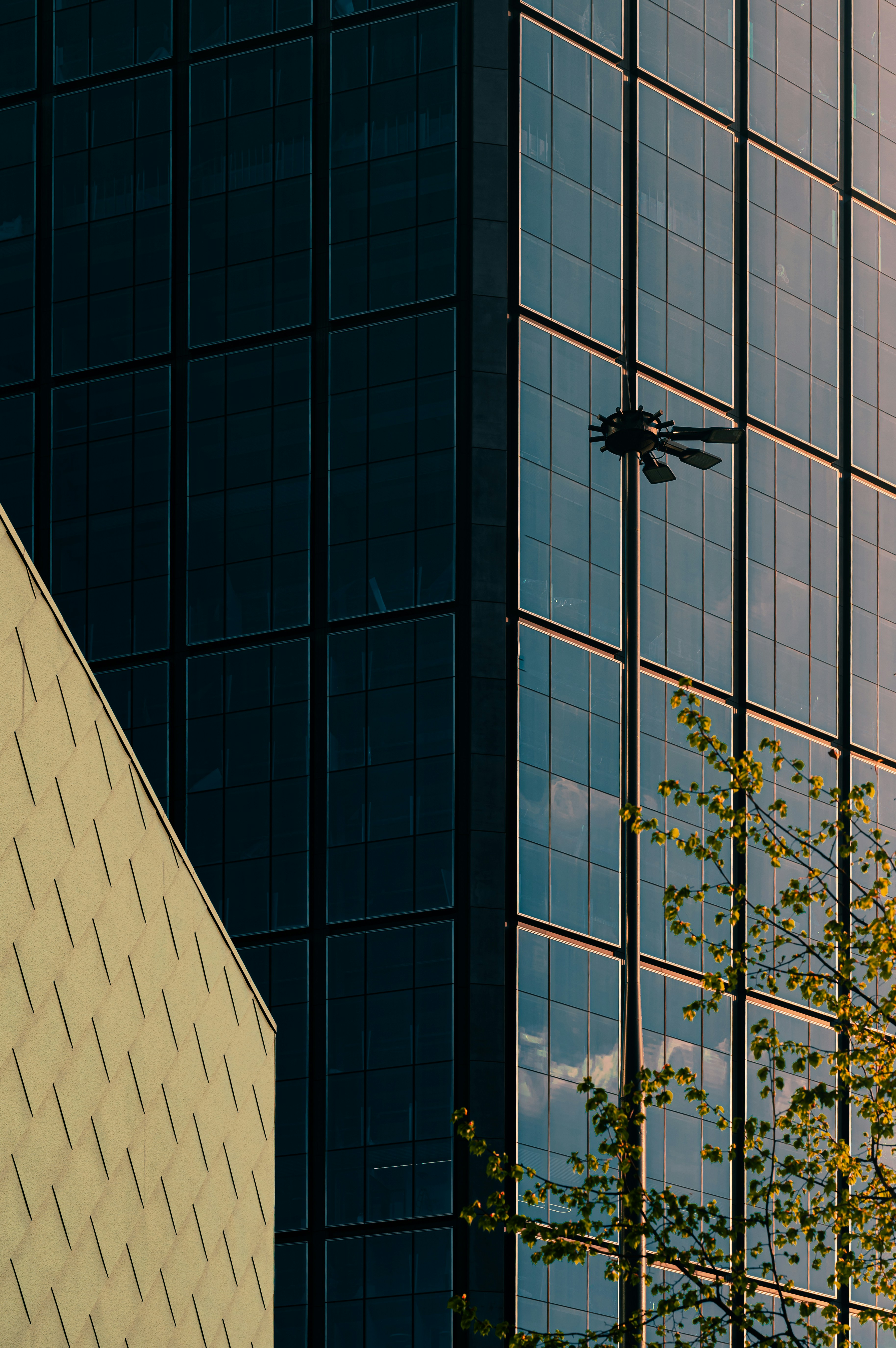 A tall building with a plane flying in the sky