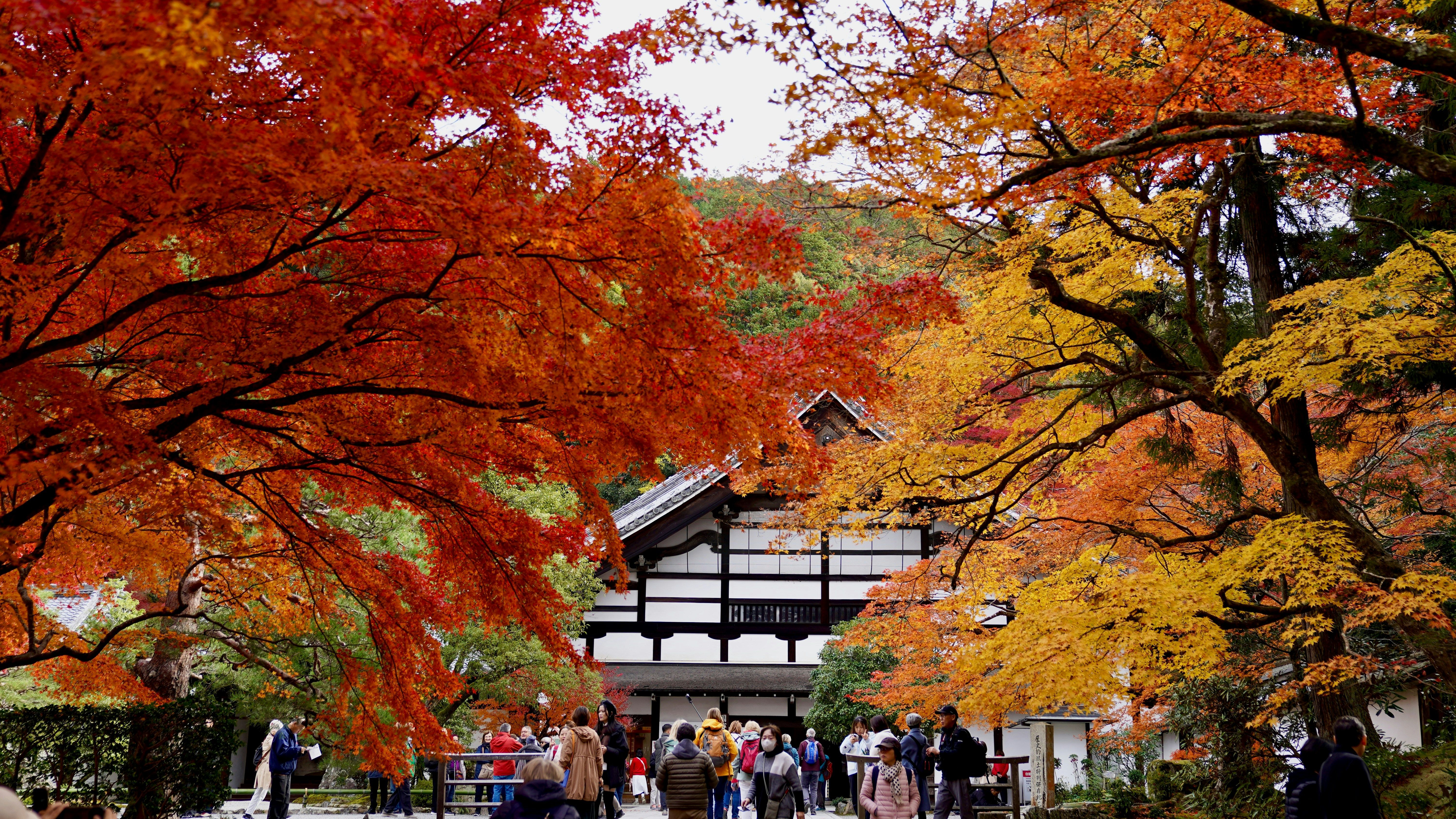 Photo by haogang