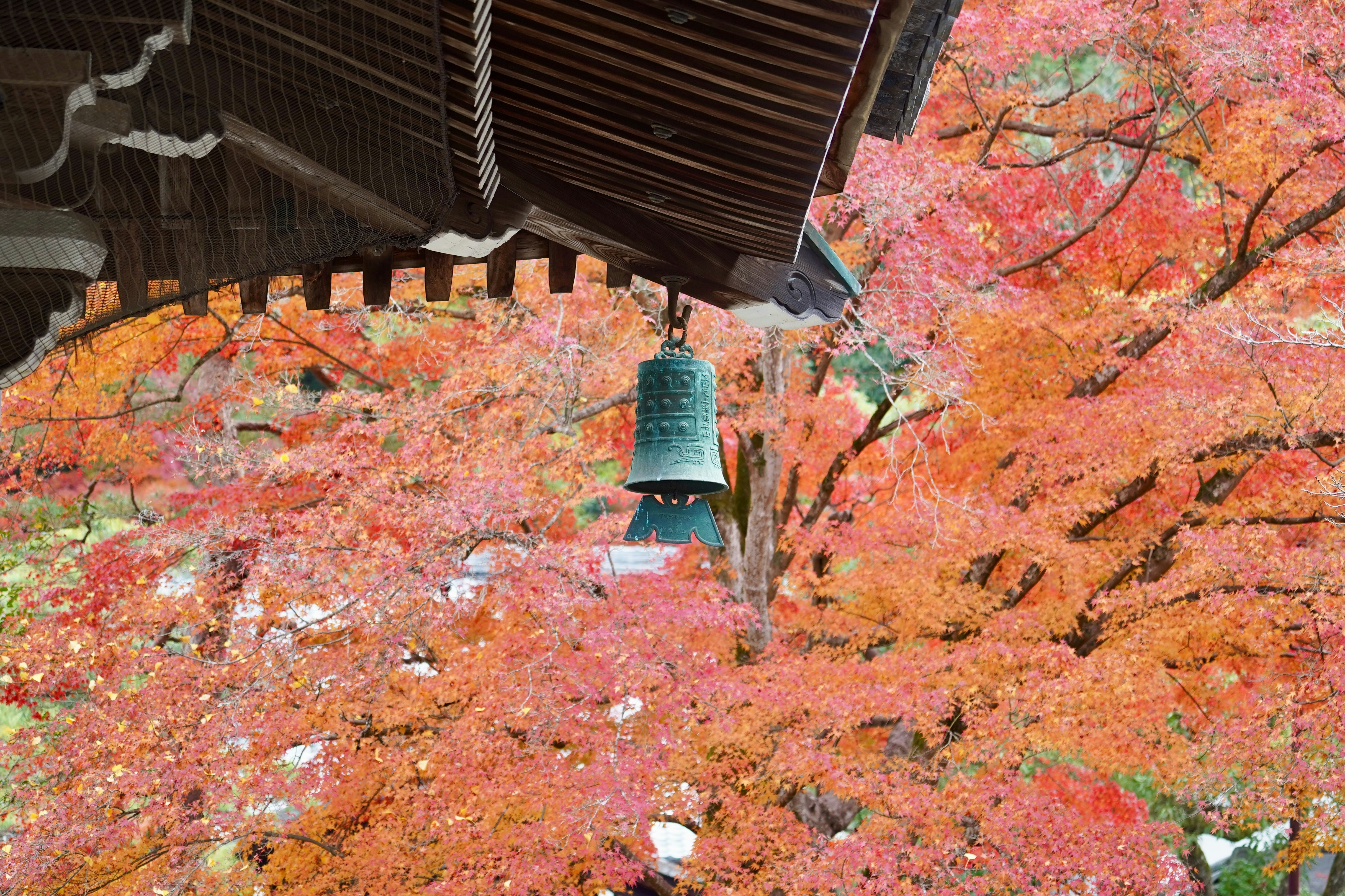 A bell in front of a tree with orange leaves