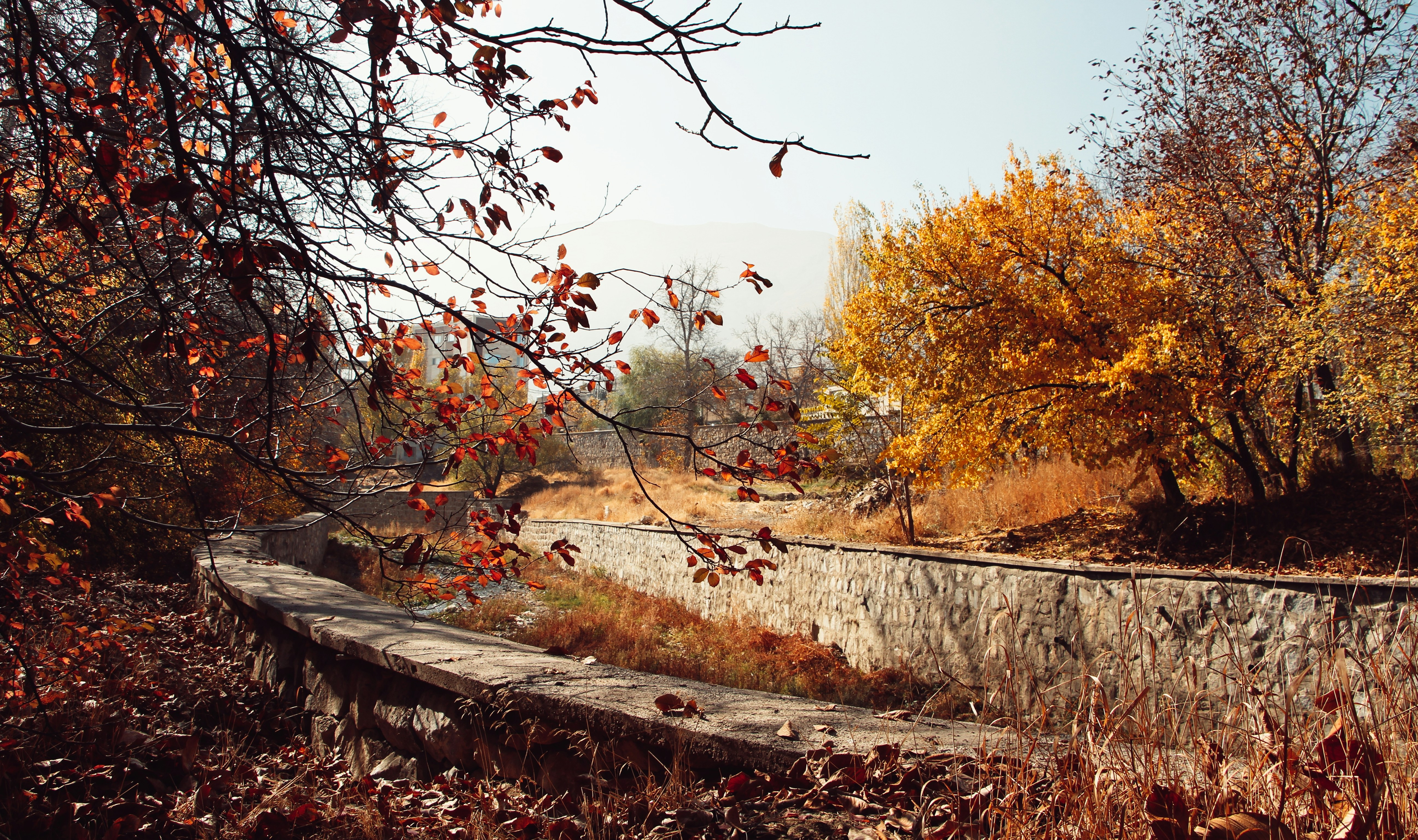 Photo by hasanalmasi