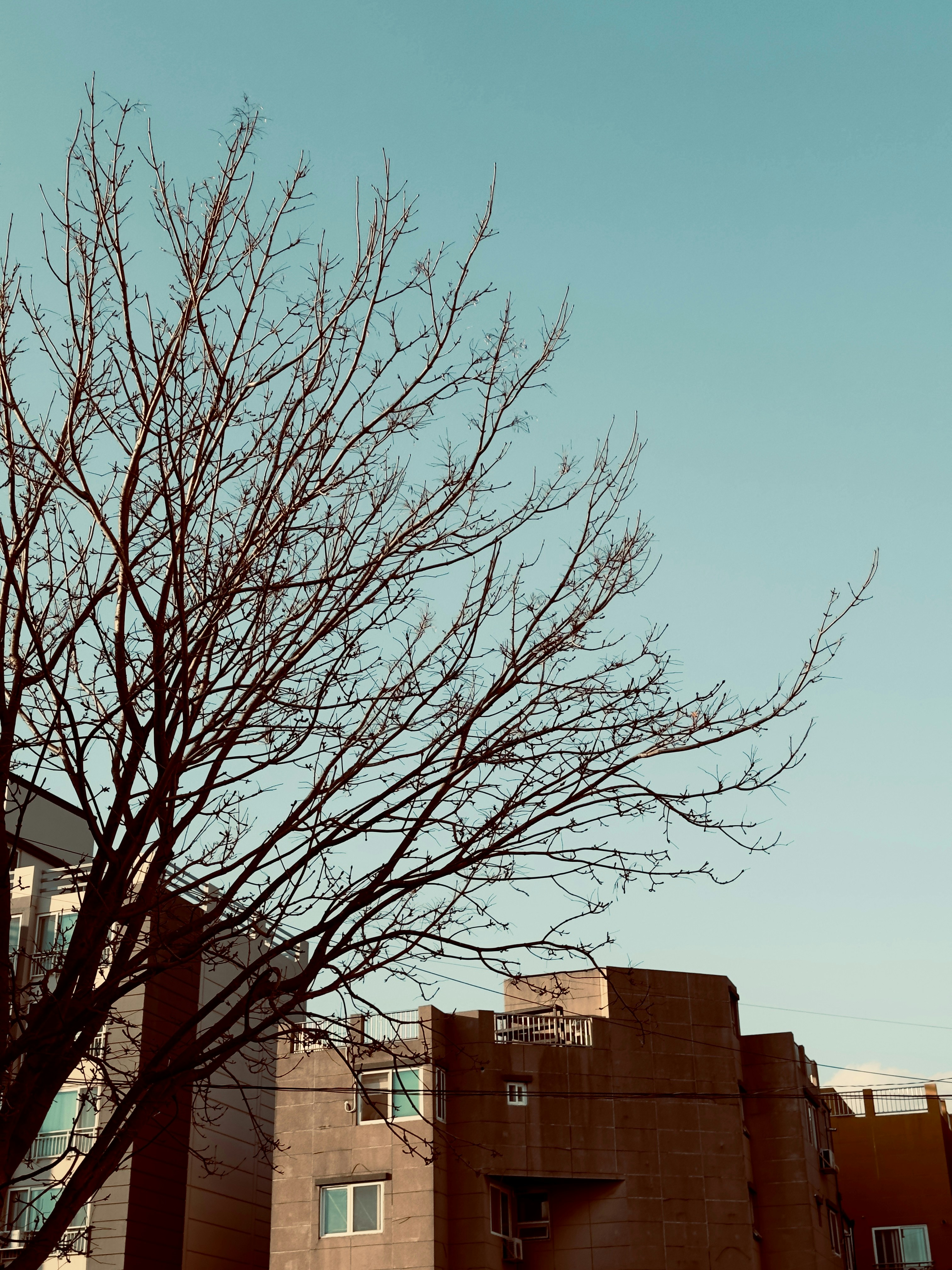 Photo by yeon01050508