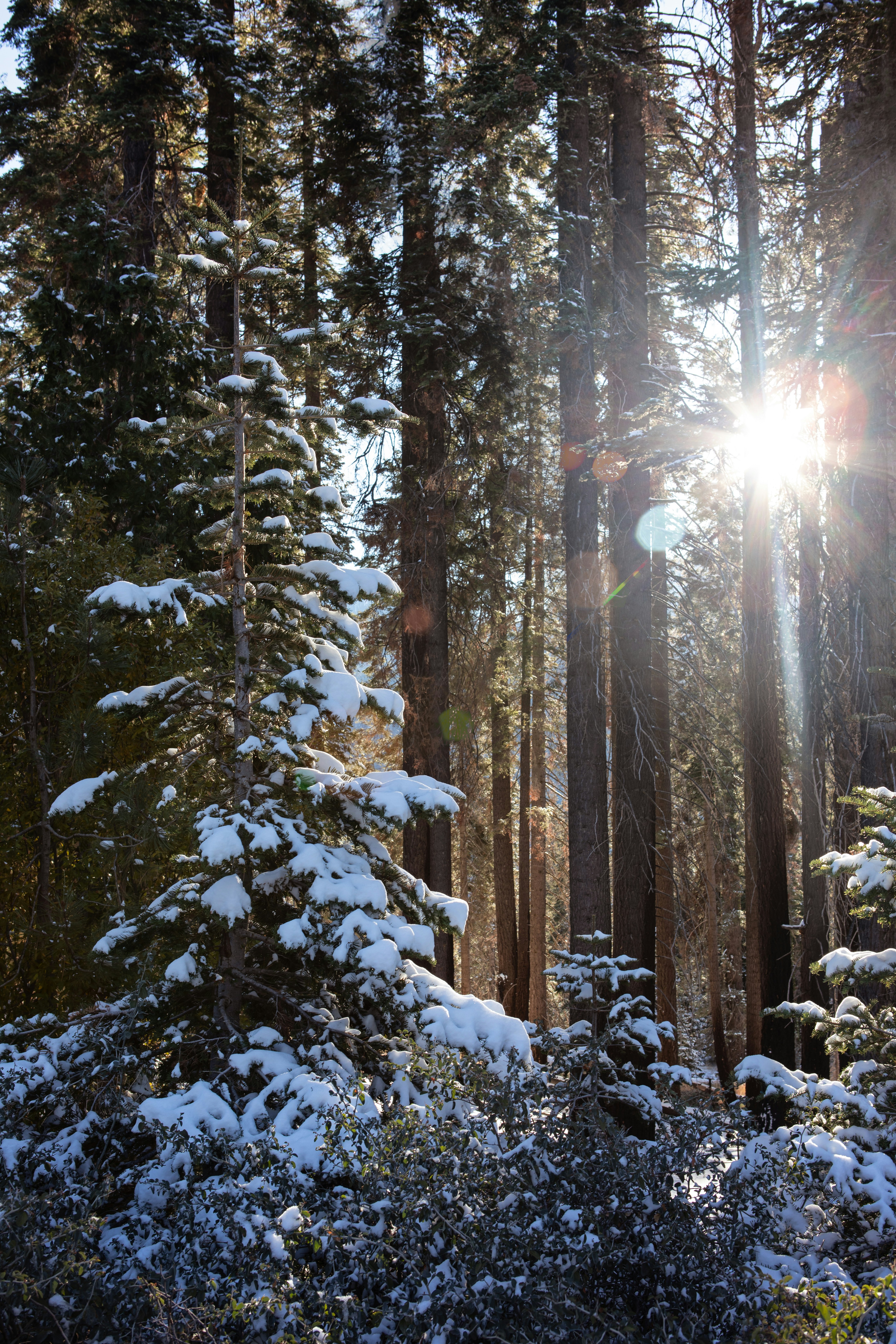 Photo by sixteenmilesout