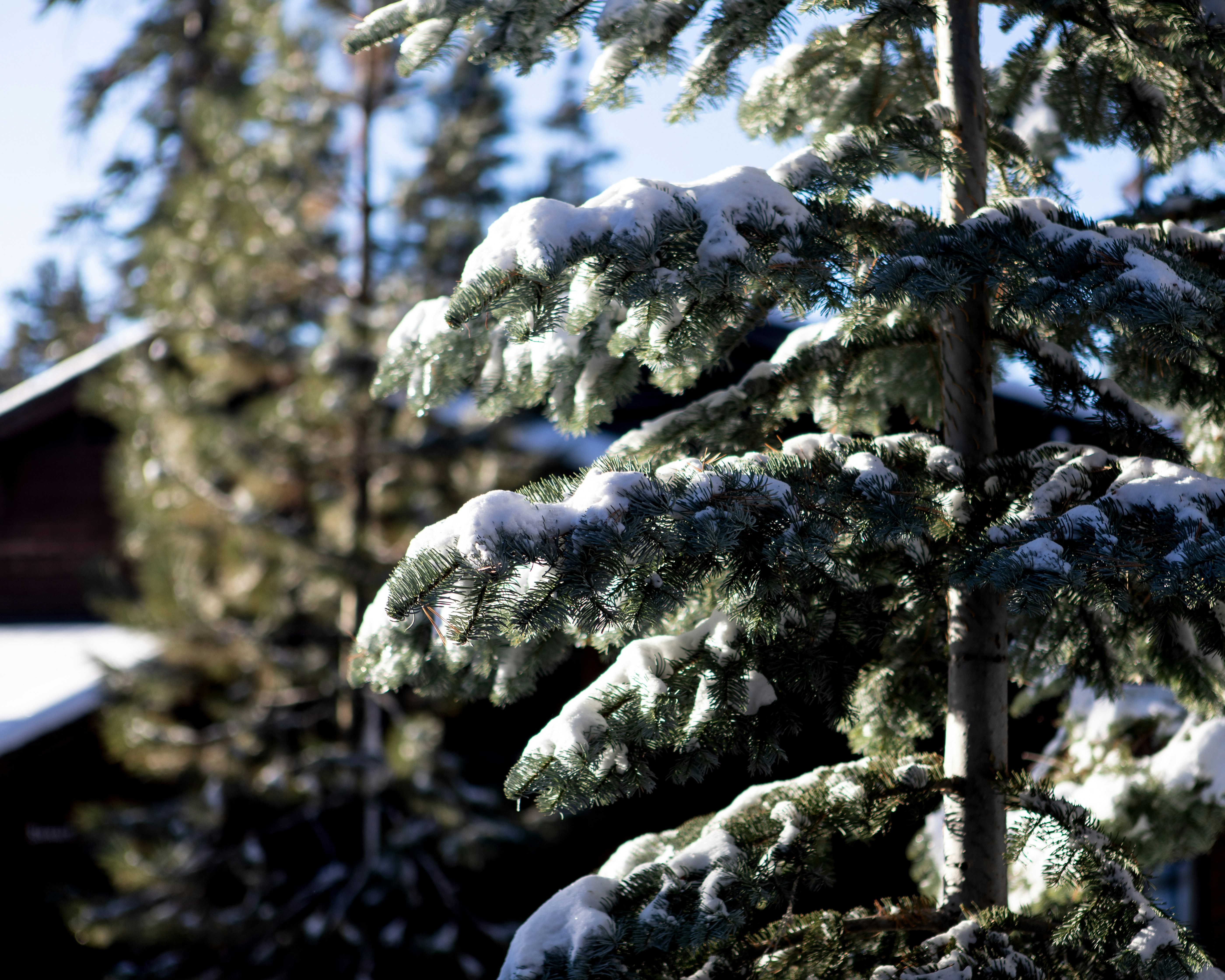 Photo by sixteenmilesout