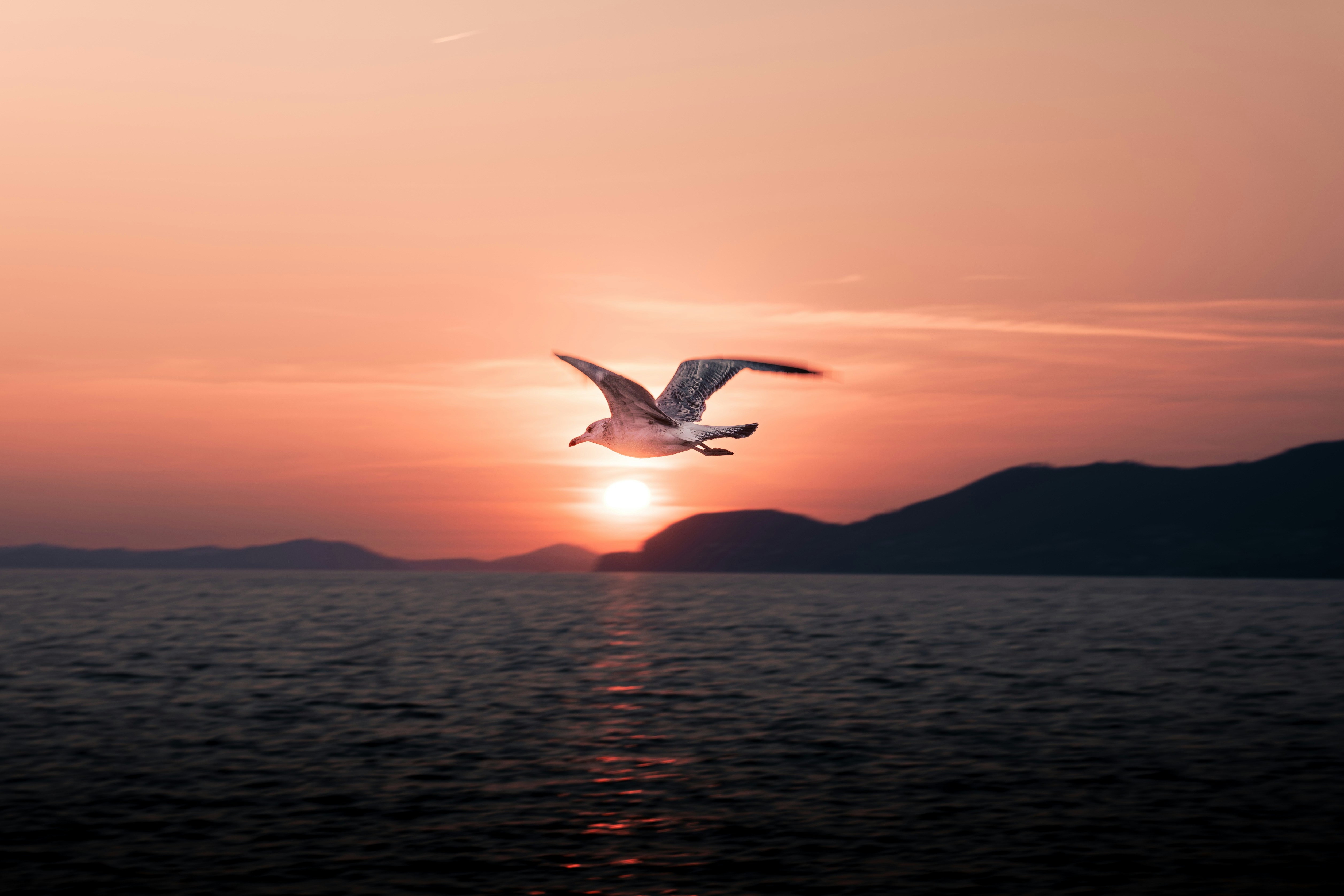 Photo by boam_production