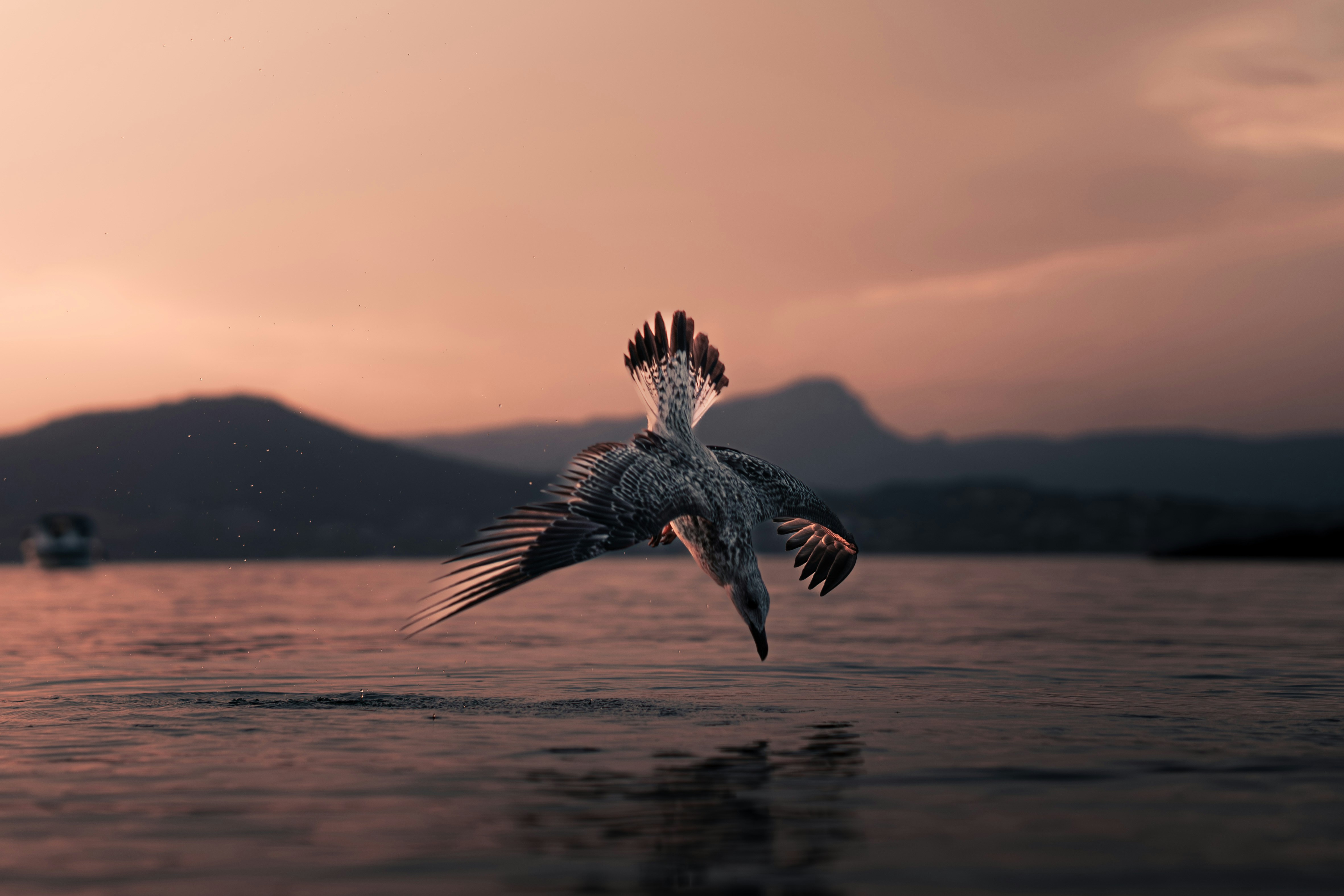 Photo by boam_production