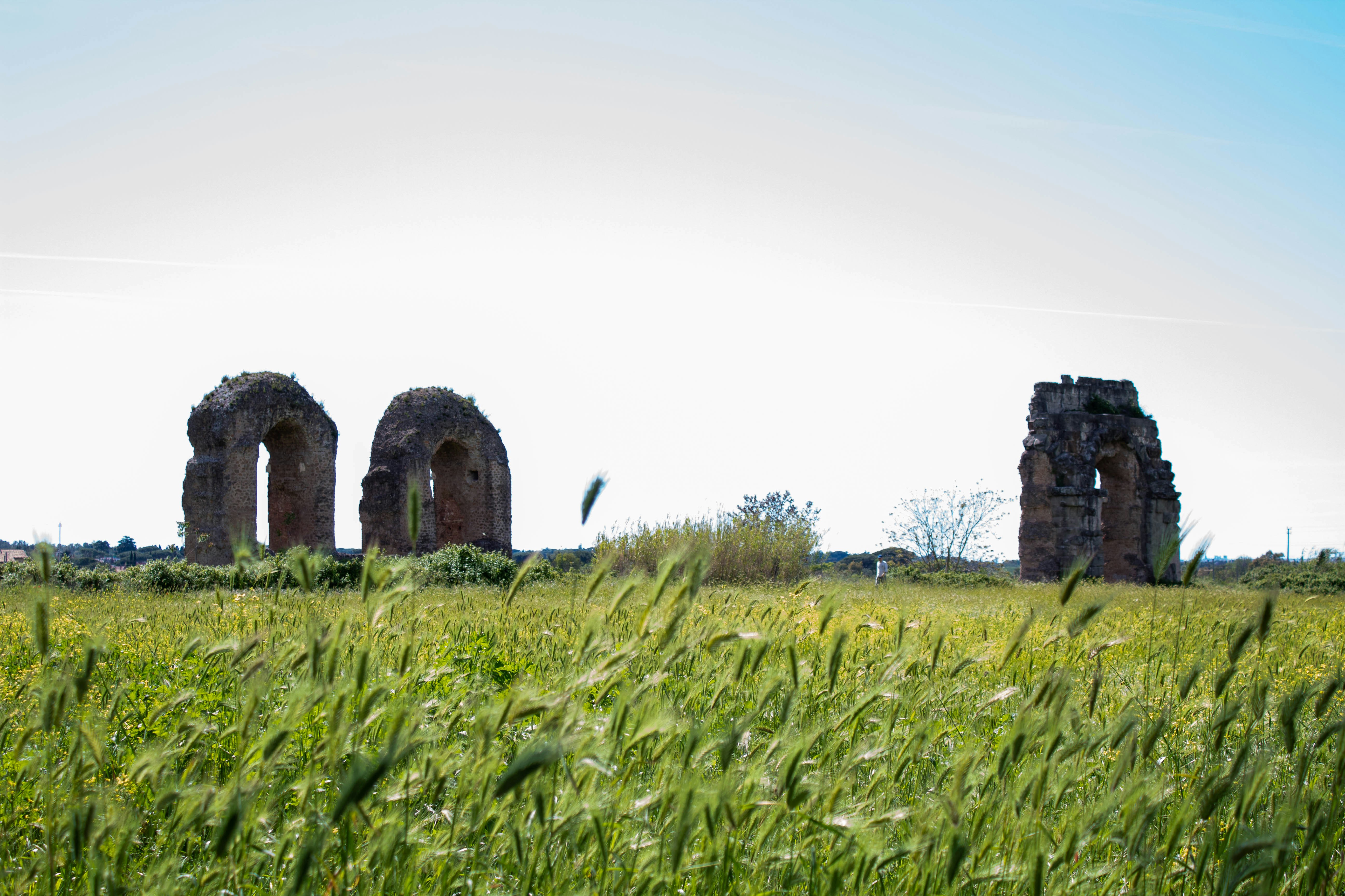 Photo by alidacellura