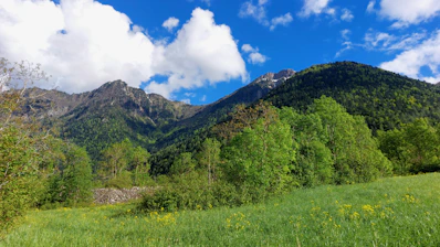 A grassy field with mountains in the background