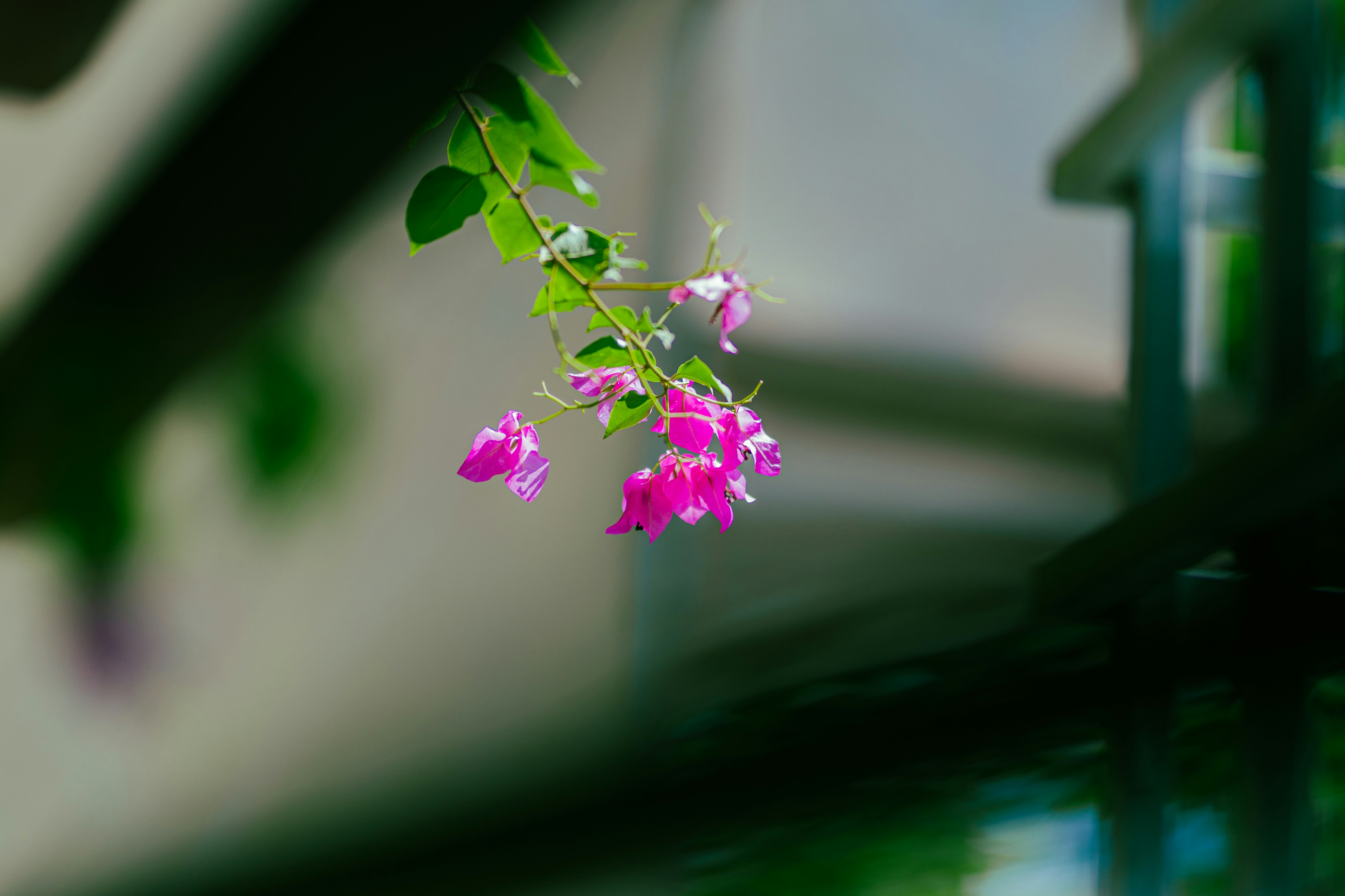 Photo by hieuanhcauam