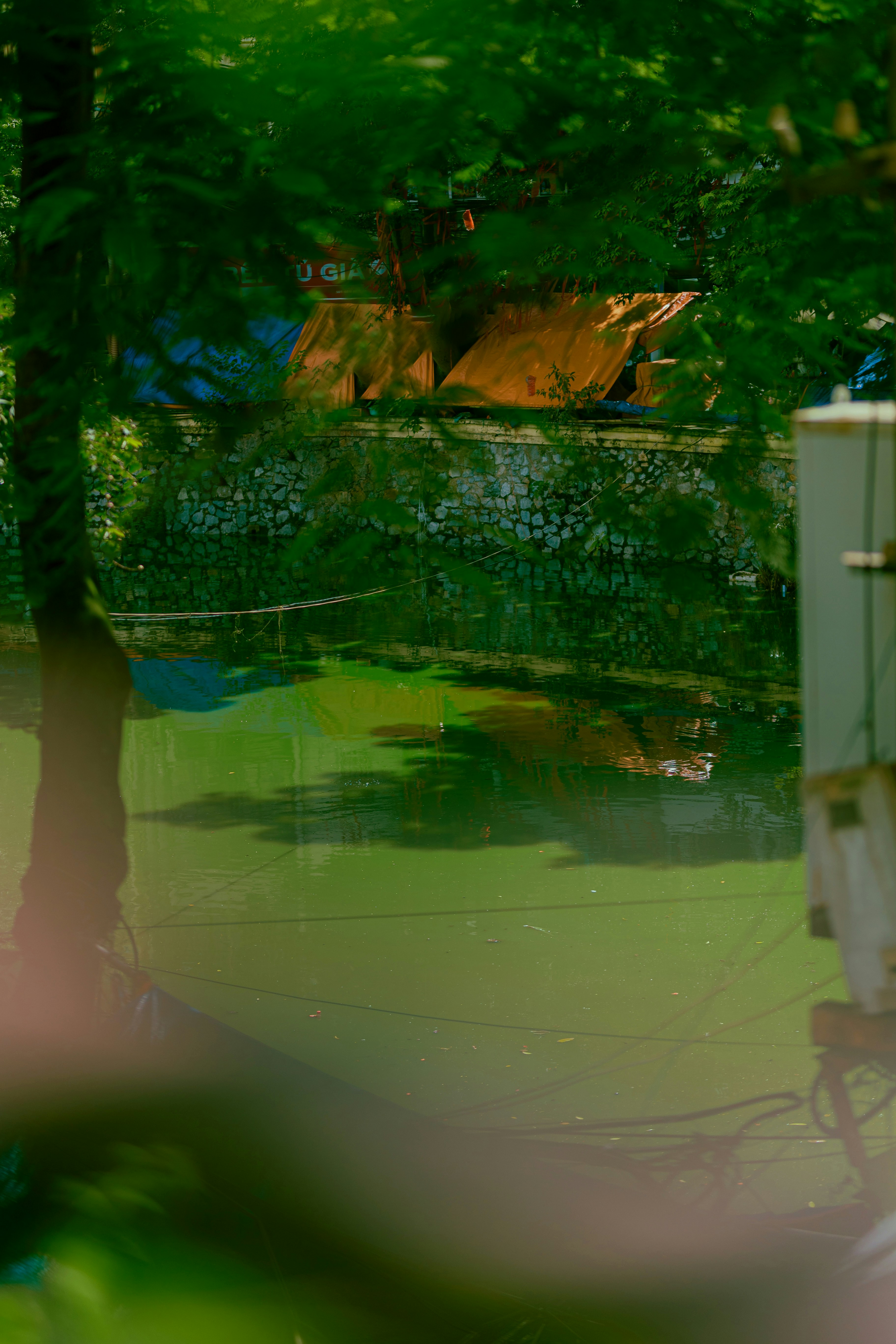 Photo by hieuanhcauam