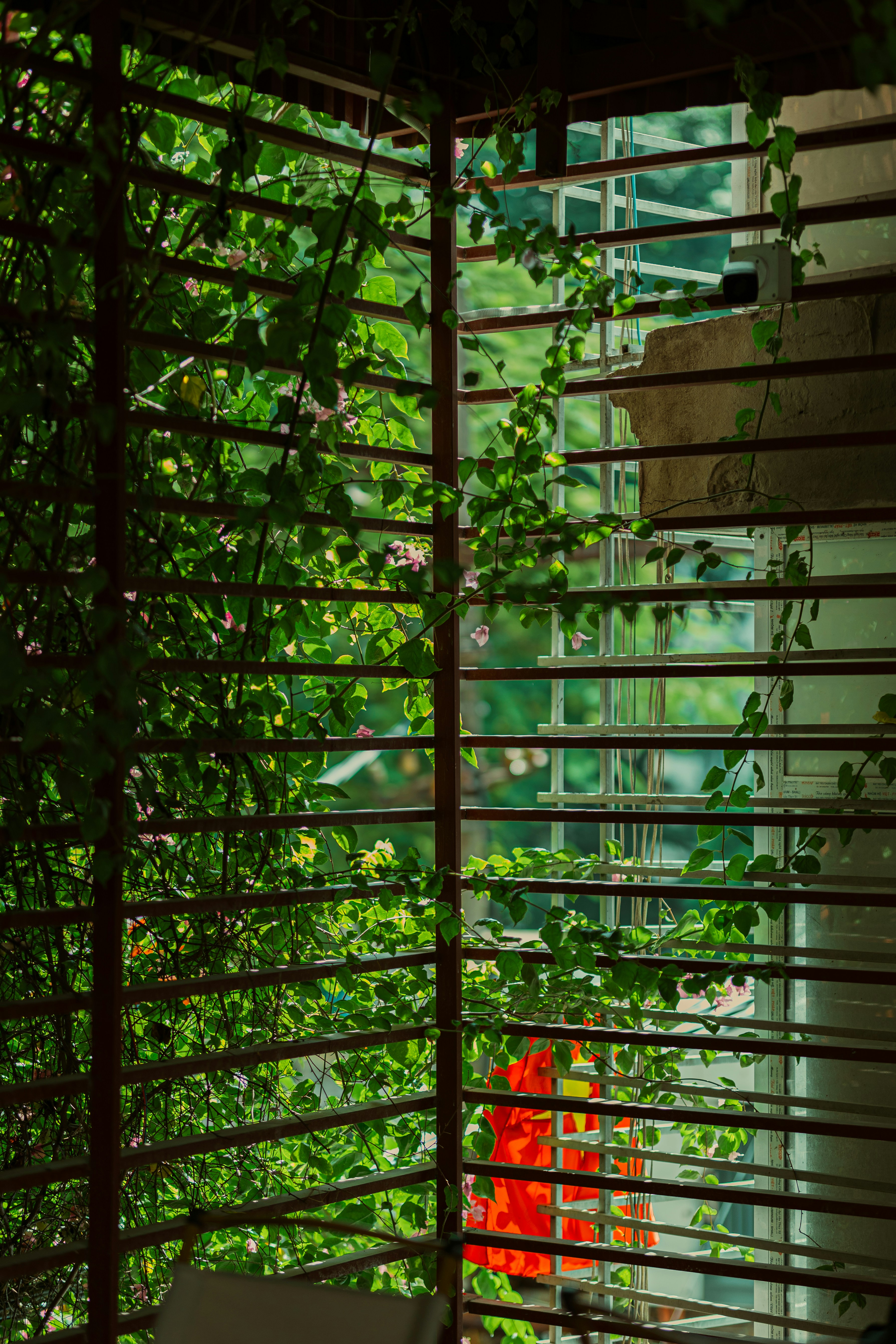 Photo by hieuanhcauam