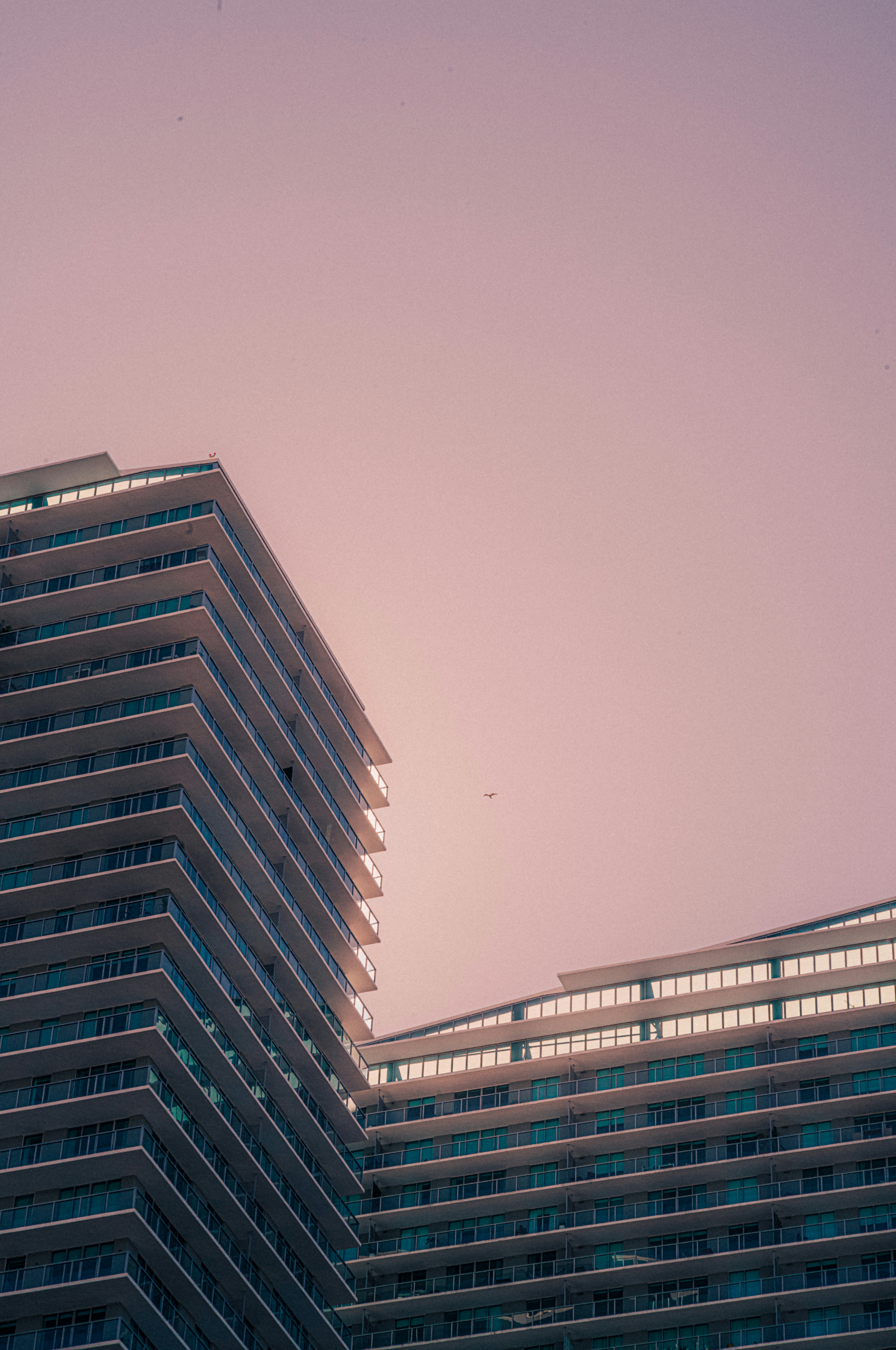 Photo by noorvoux