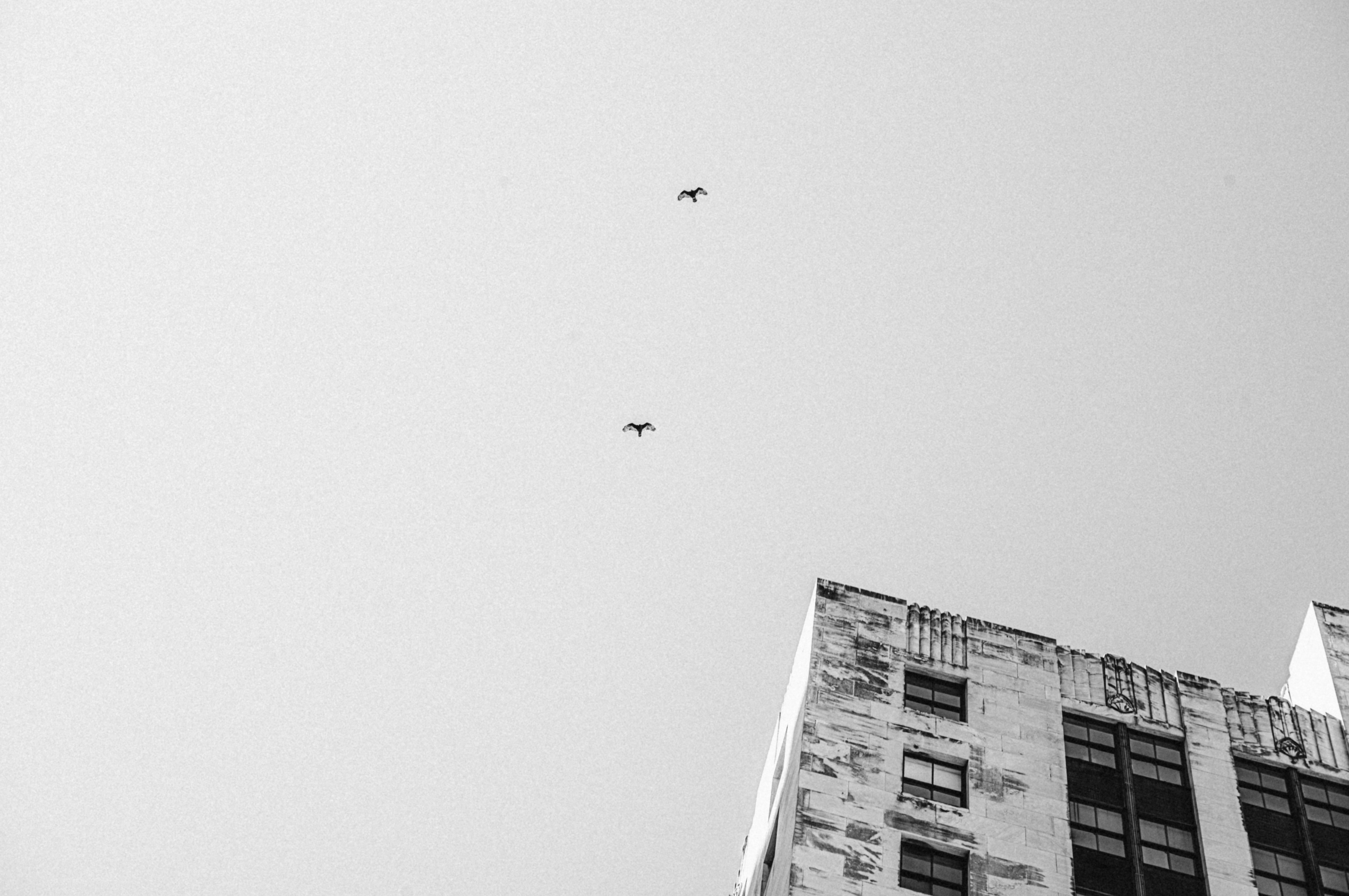 Photo by noorvoux