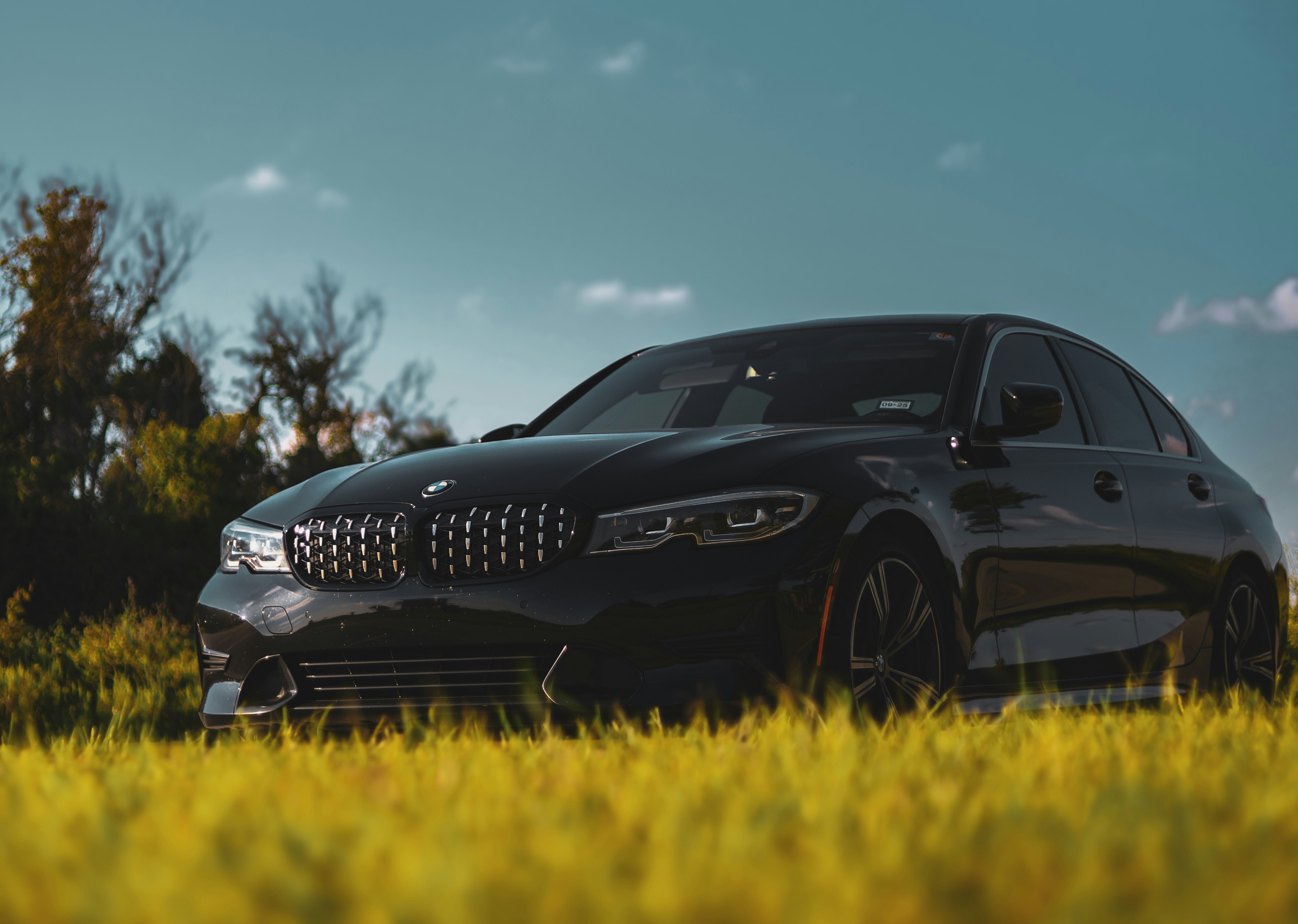 Ein schwarzes Auto, das auf einer Wiese geparkt ist