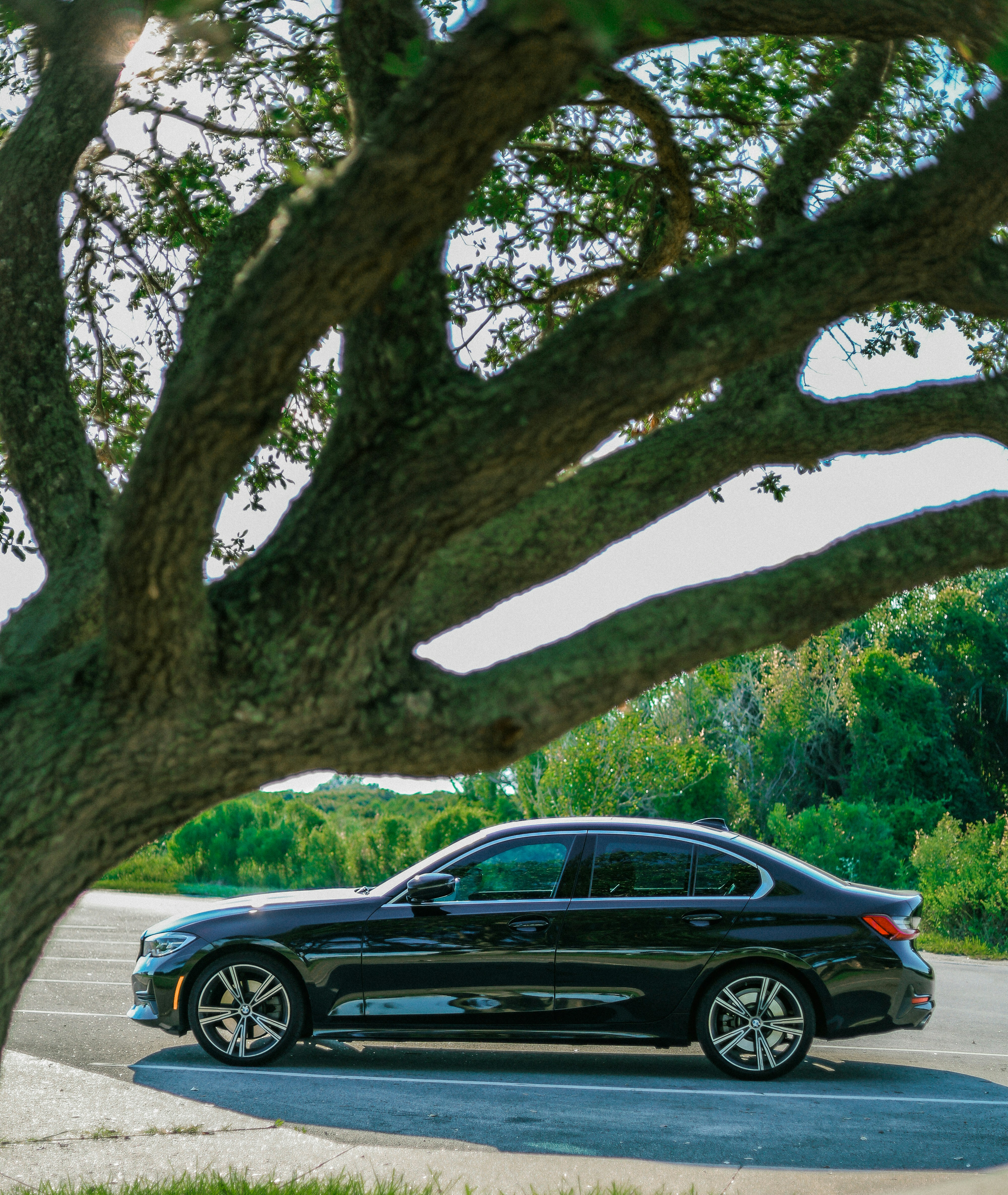 A black car parked in a parking lot next to a tree photo – Free Bmw ...