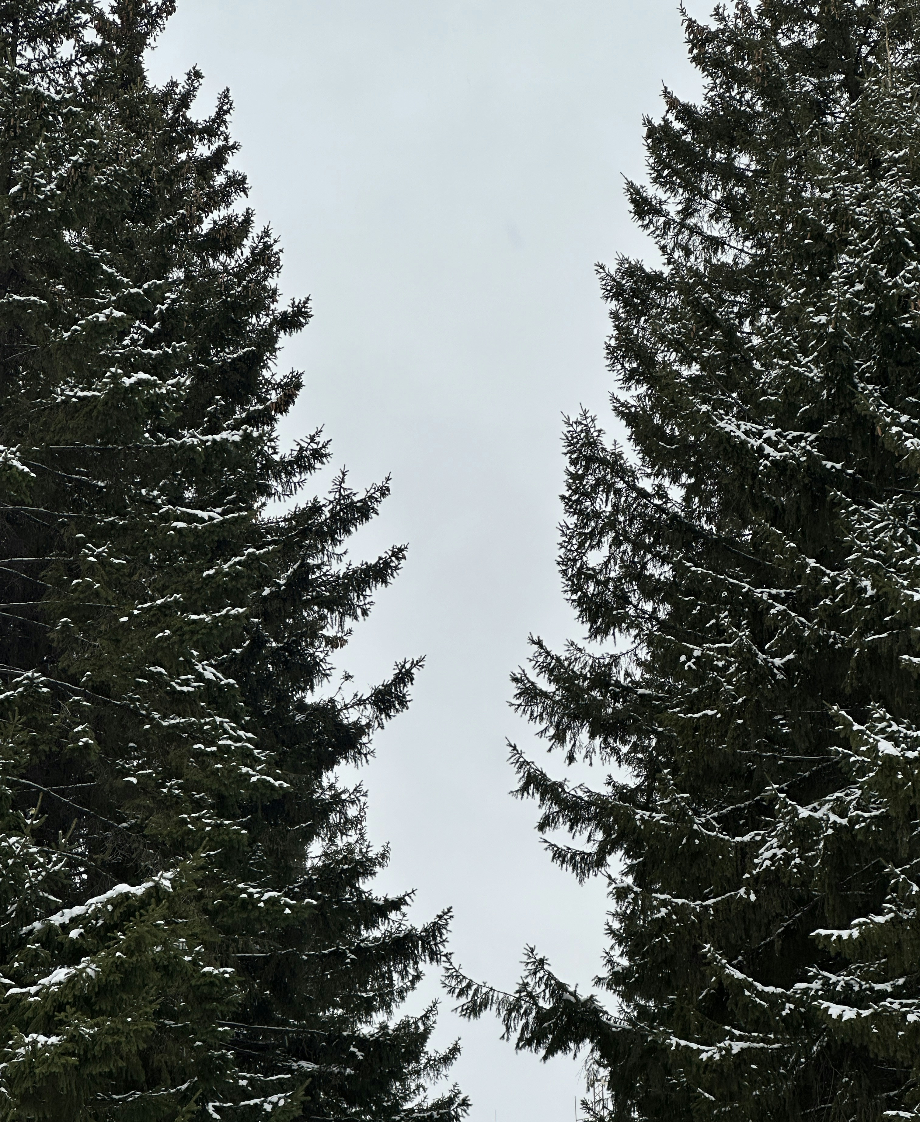 Photo by mbacloud