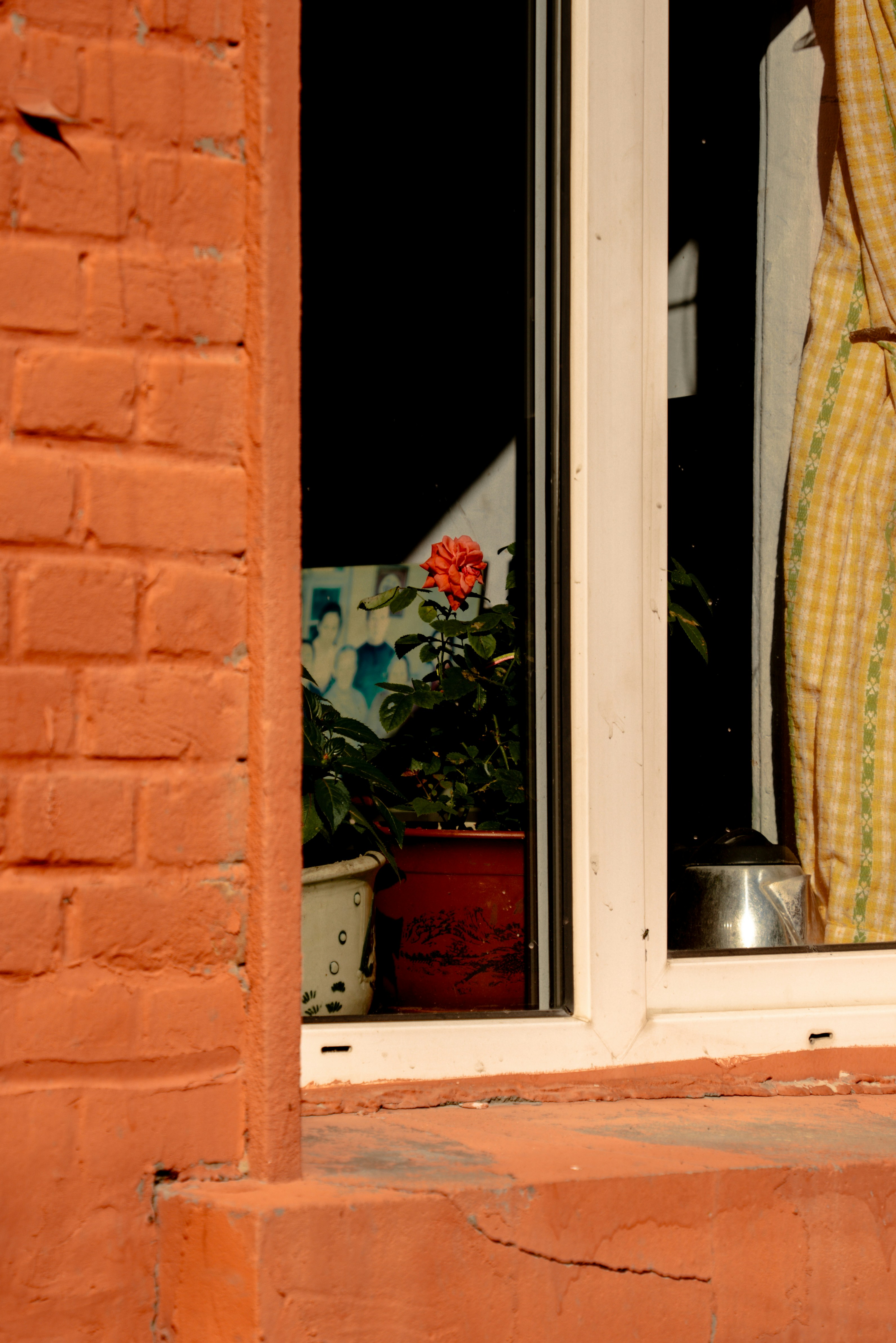 Photo by lindeng0097