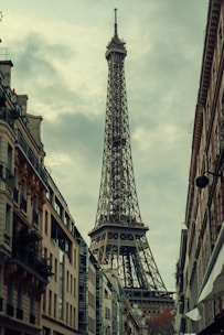 The eiffel tower towering over the city of paris