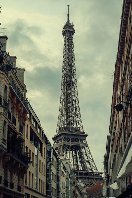 The eiffel tower towering over the city of paris