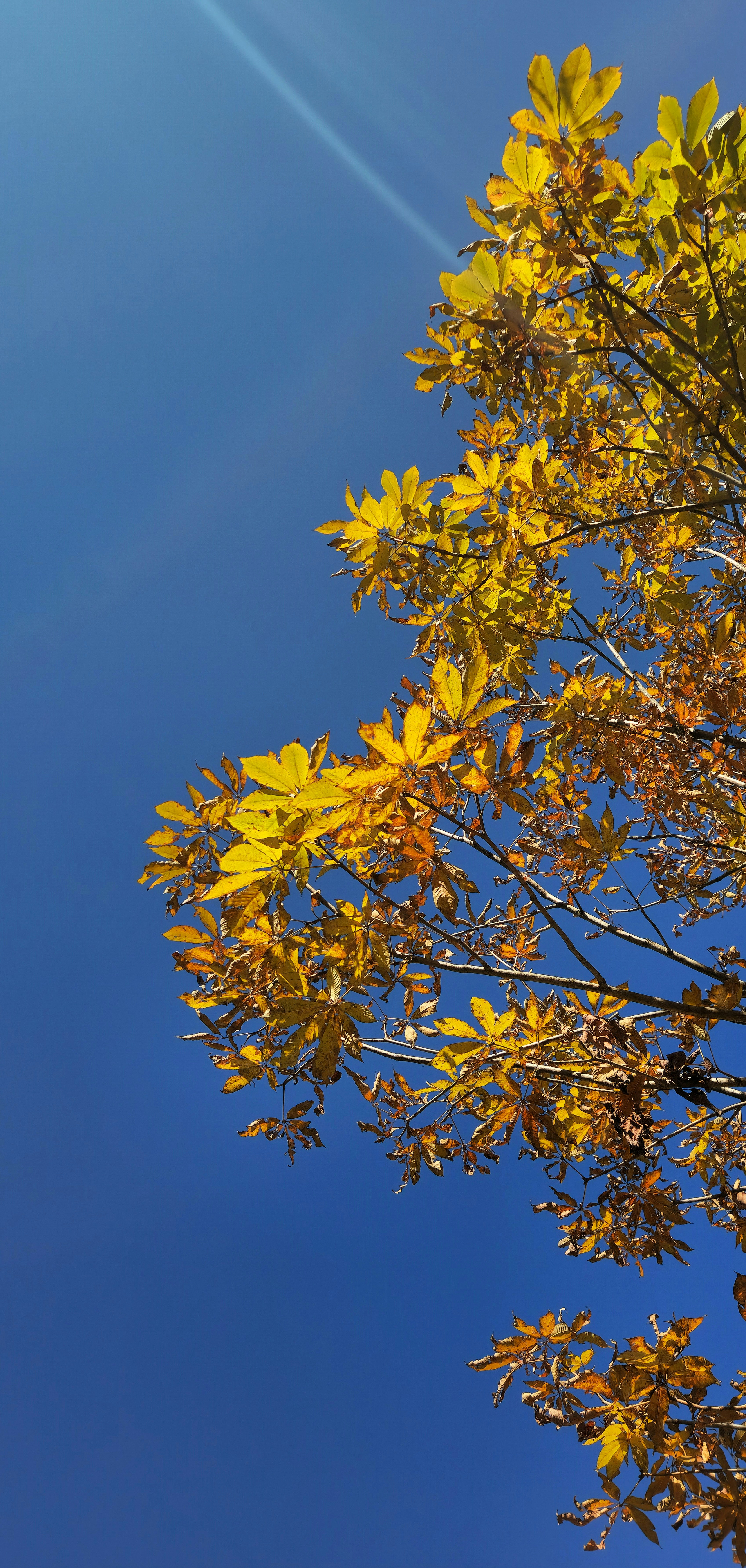 Photo by vaibhavsalvi