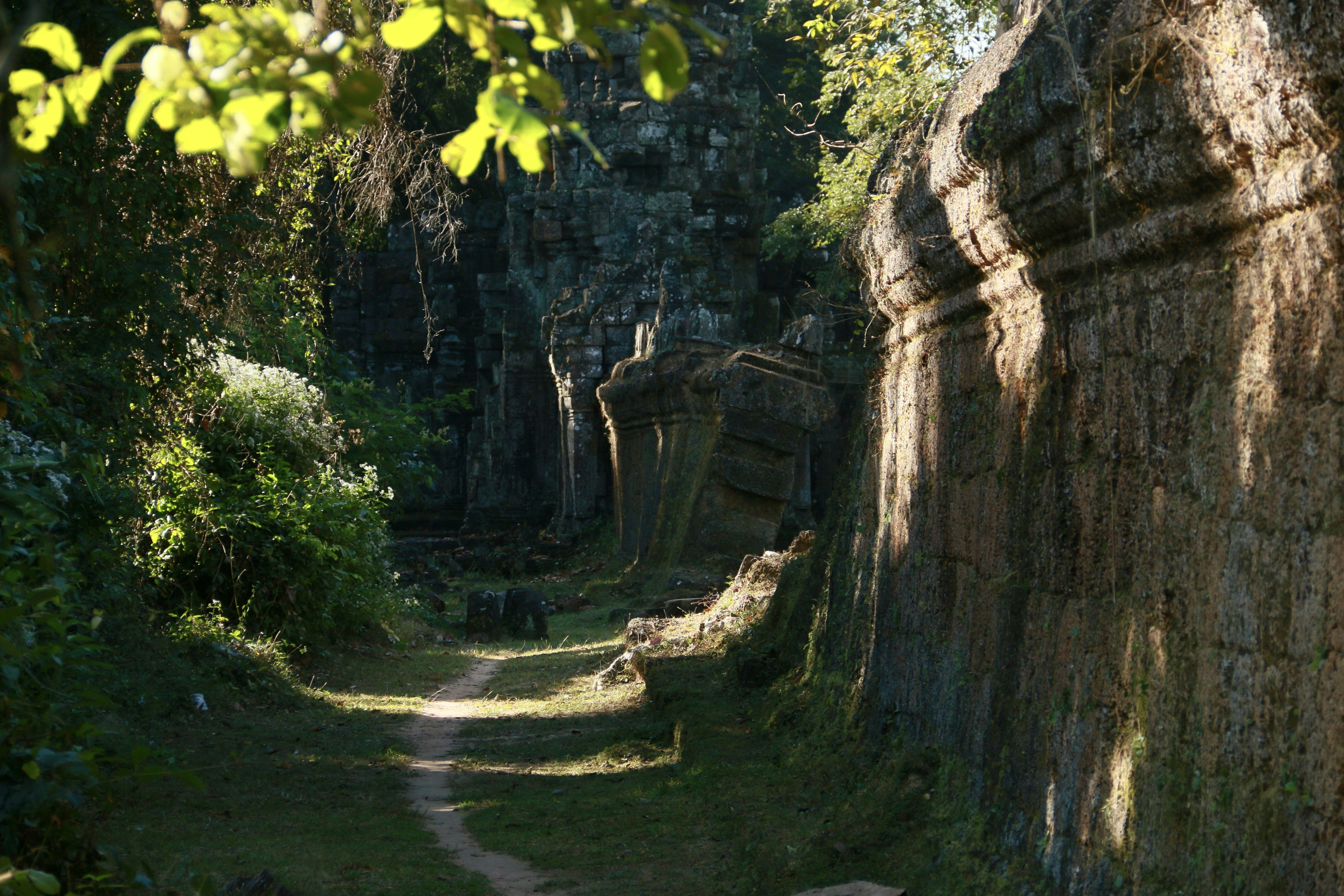A dirt road surrounded by trees and rocks