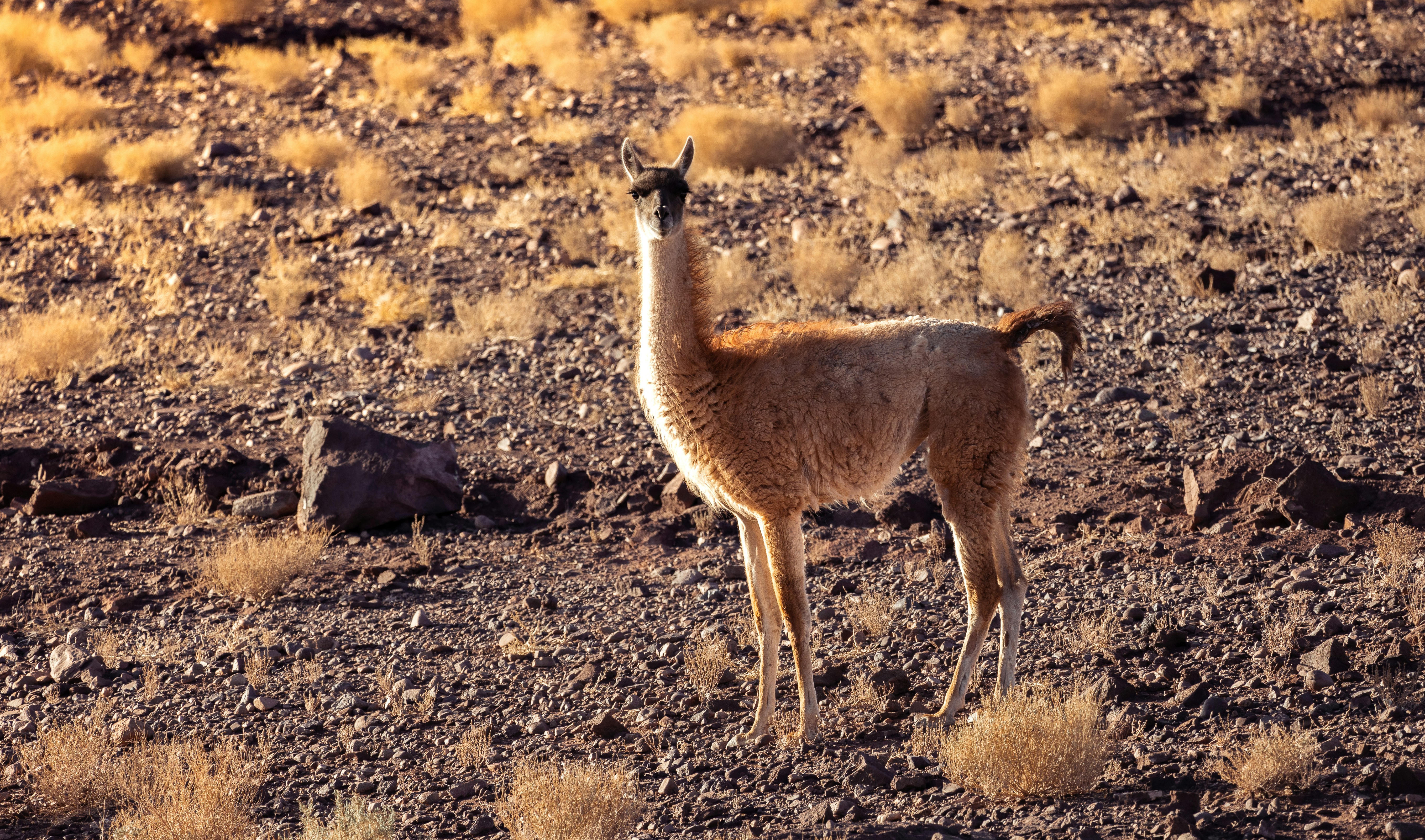 Photo by marekpiwnicki