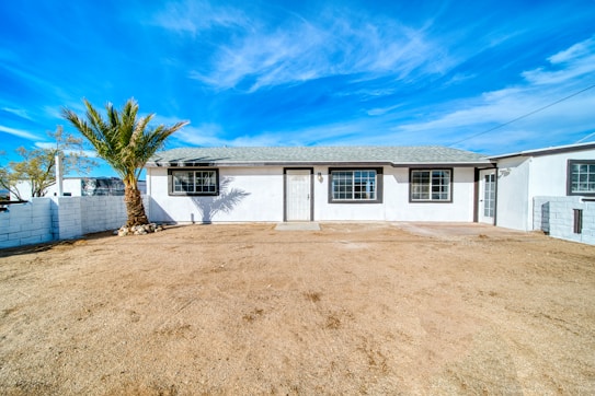 A house with a palm tree in front of it