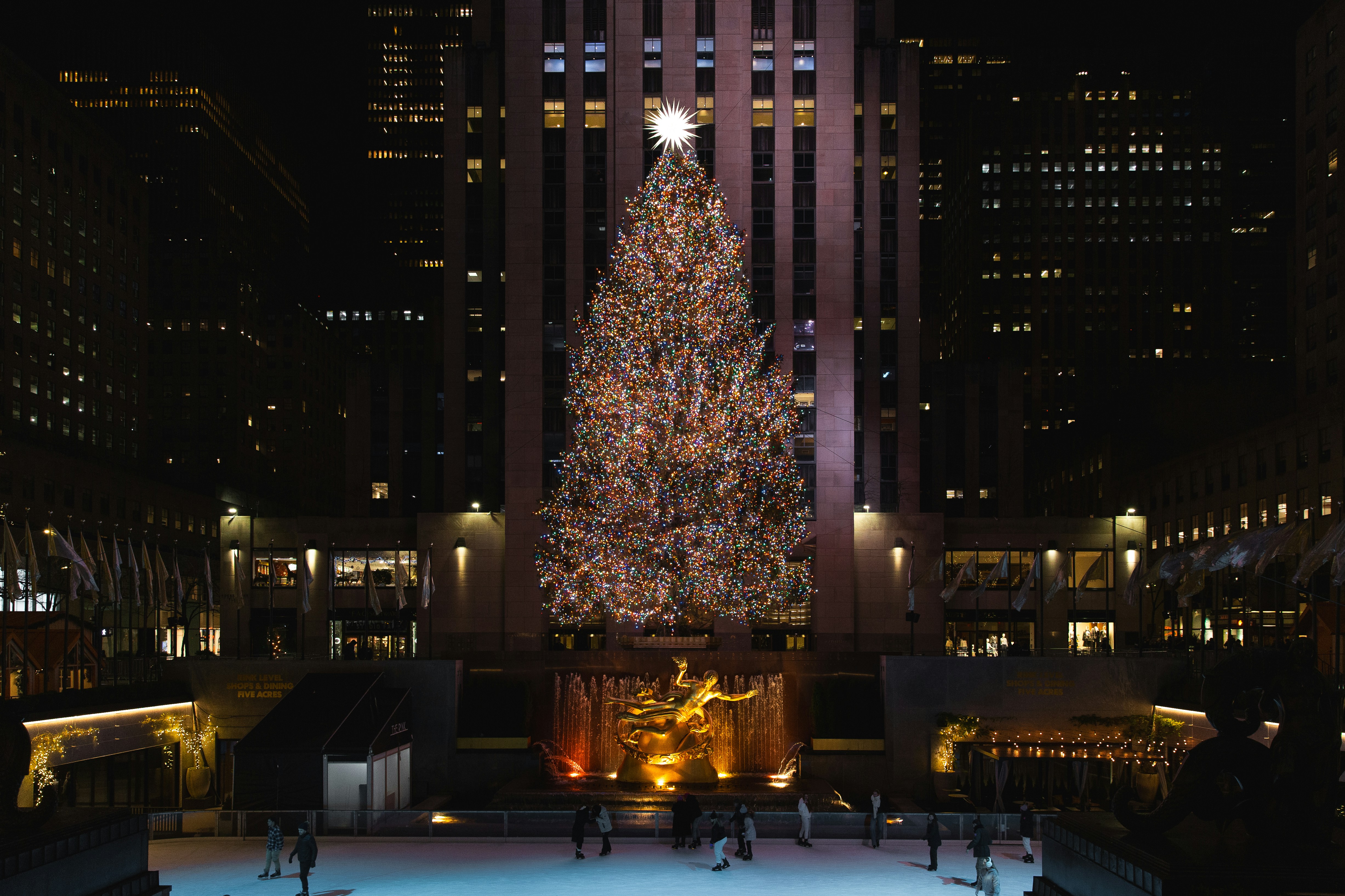 A large christmas tree in the middle of a city