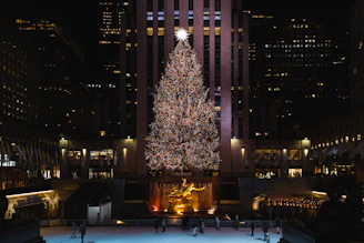 A large christmas tree in the middle of a city