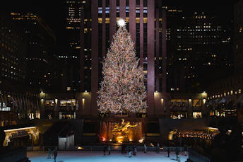 A large christmas tree in the middle of a city