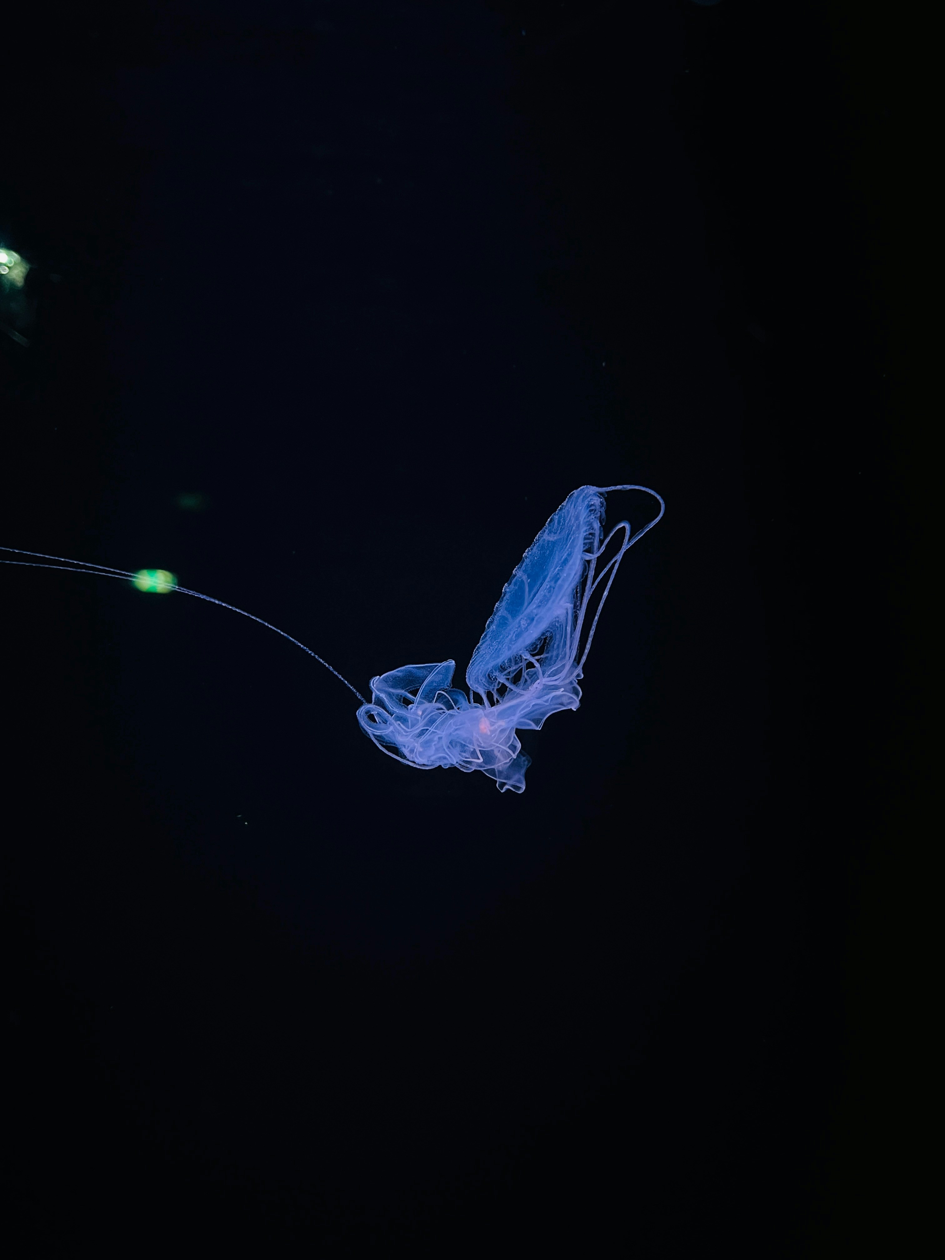 Photo by jonathanfelipe01