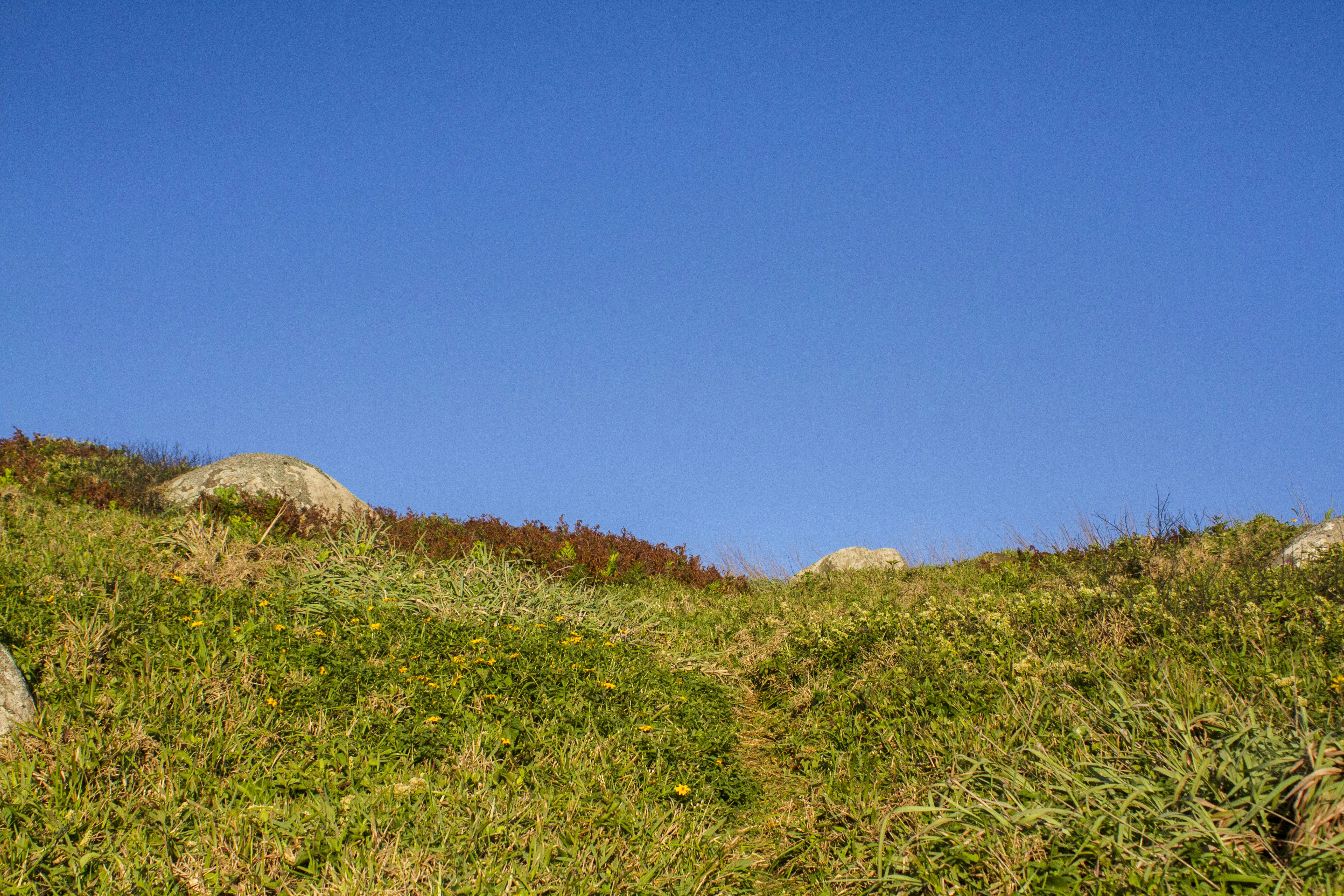 Photo by photos_muka