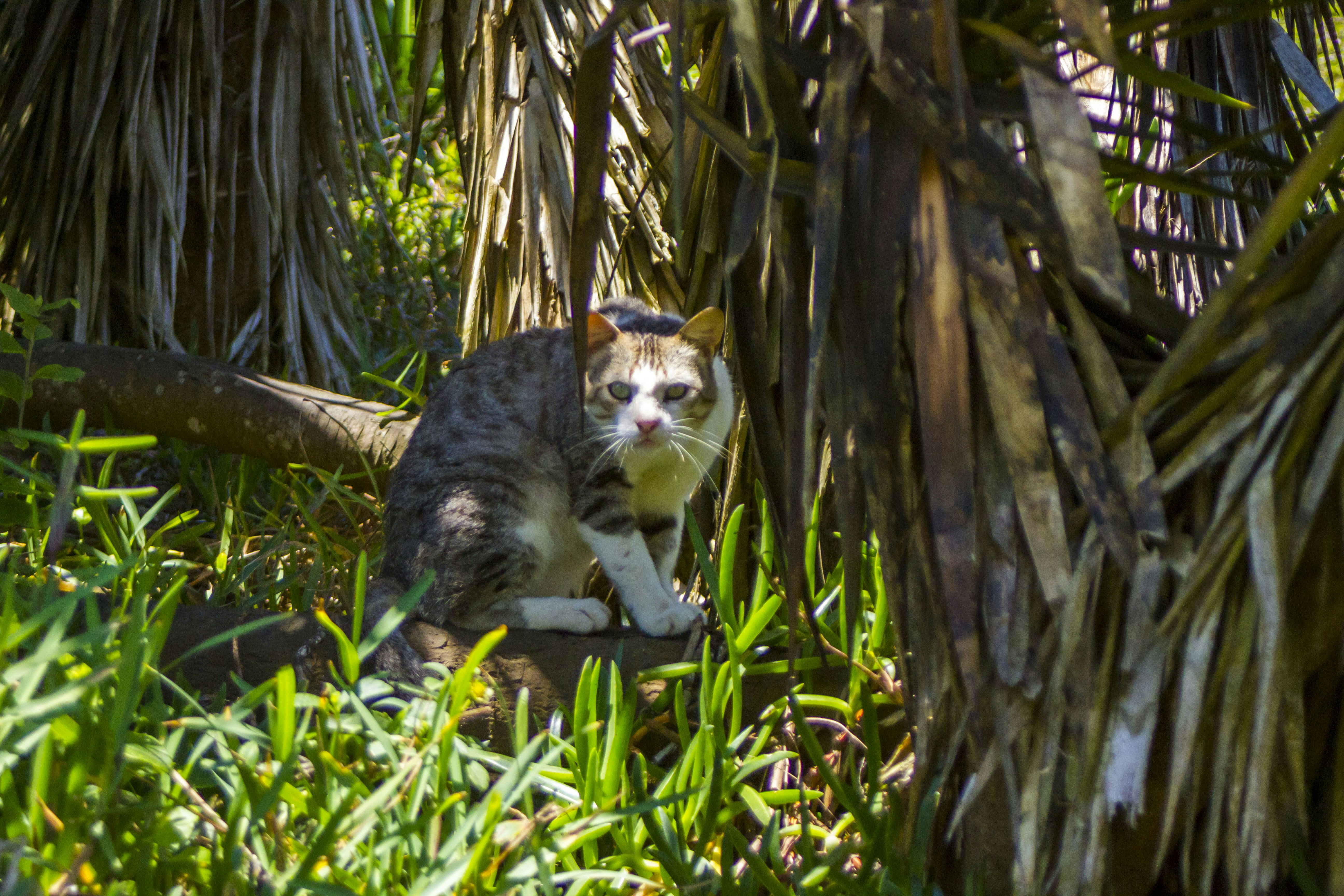 Photo by photos_muka