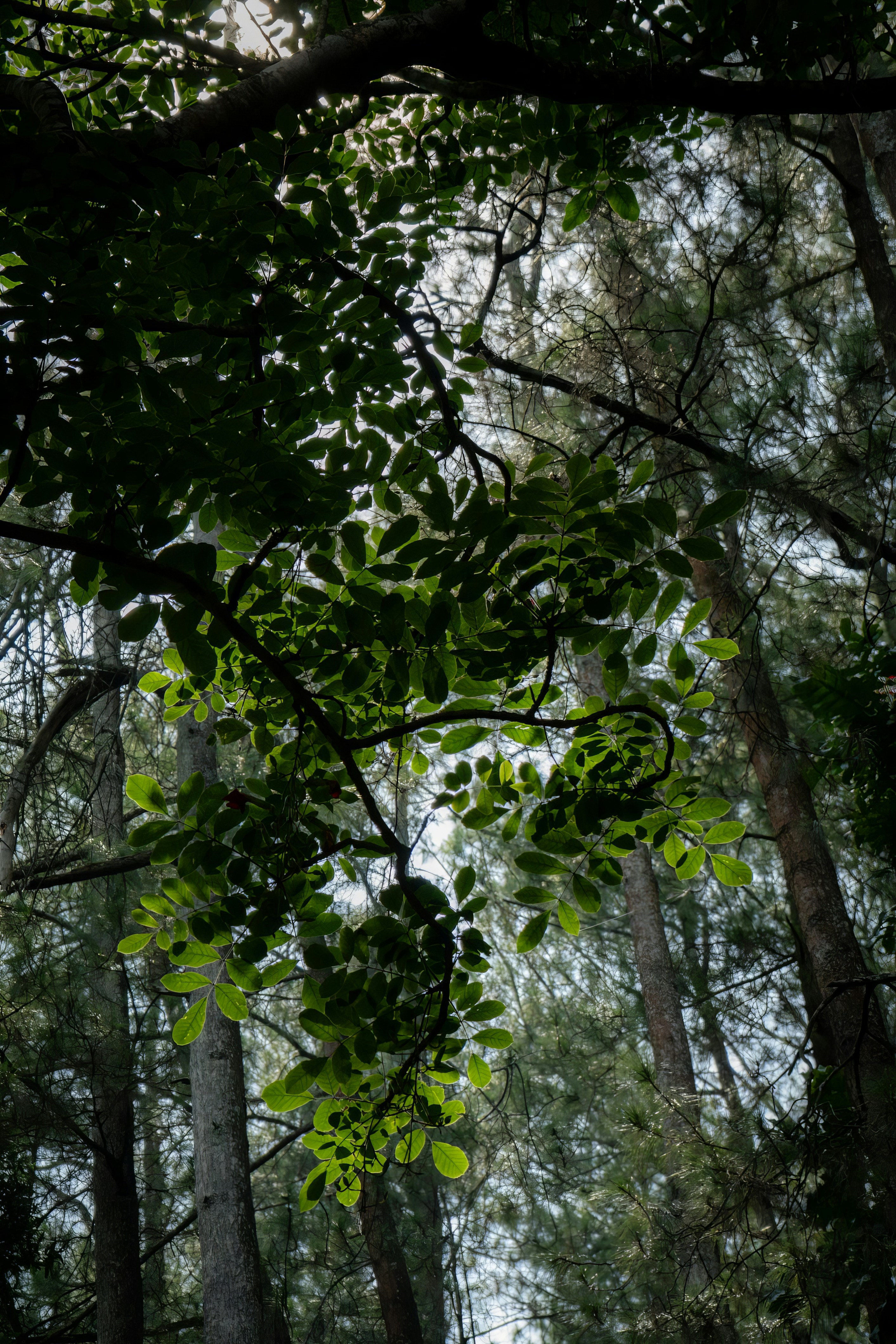 Photo by abdulridwanrr