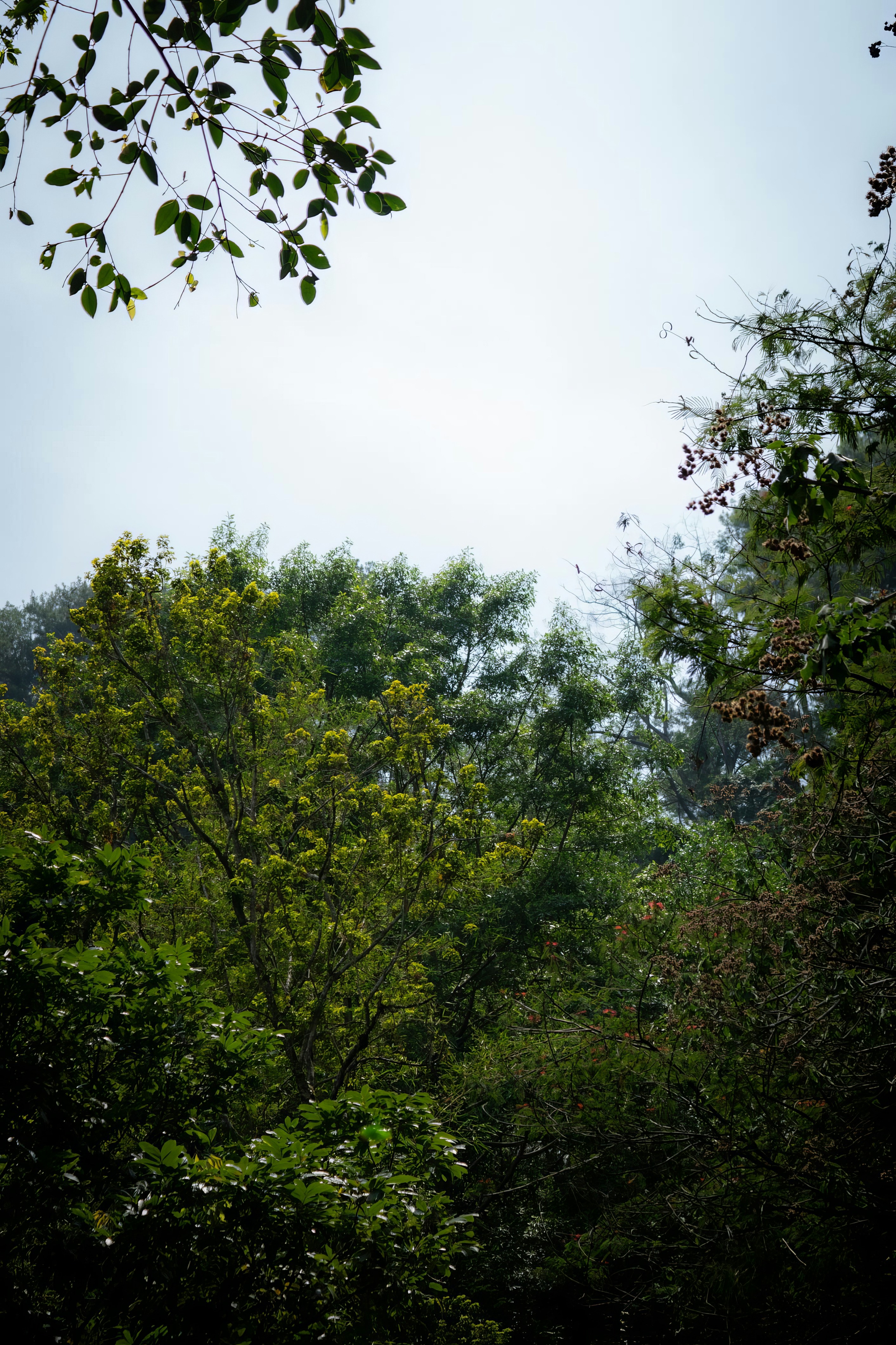 Photo by abdulridwanrr