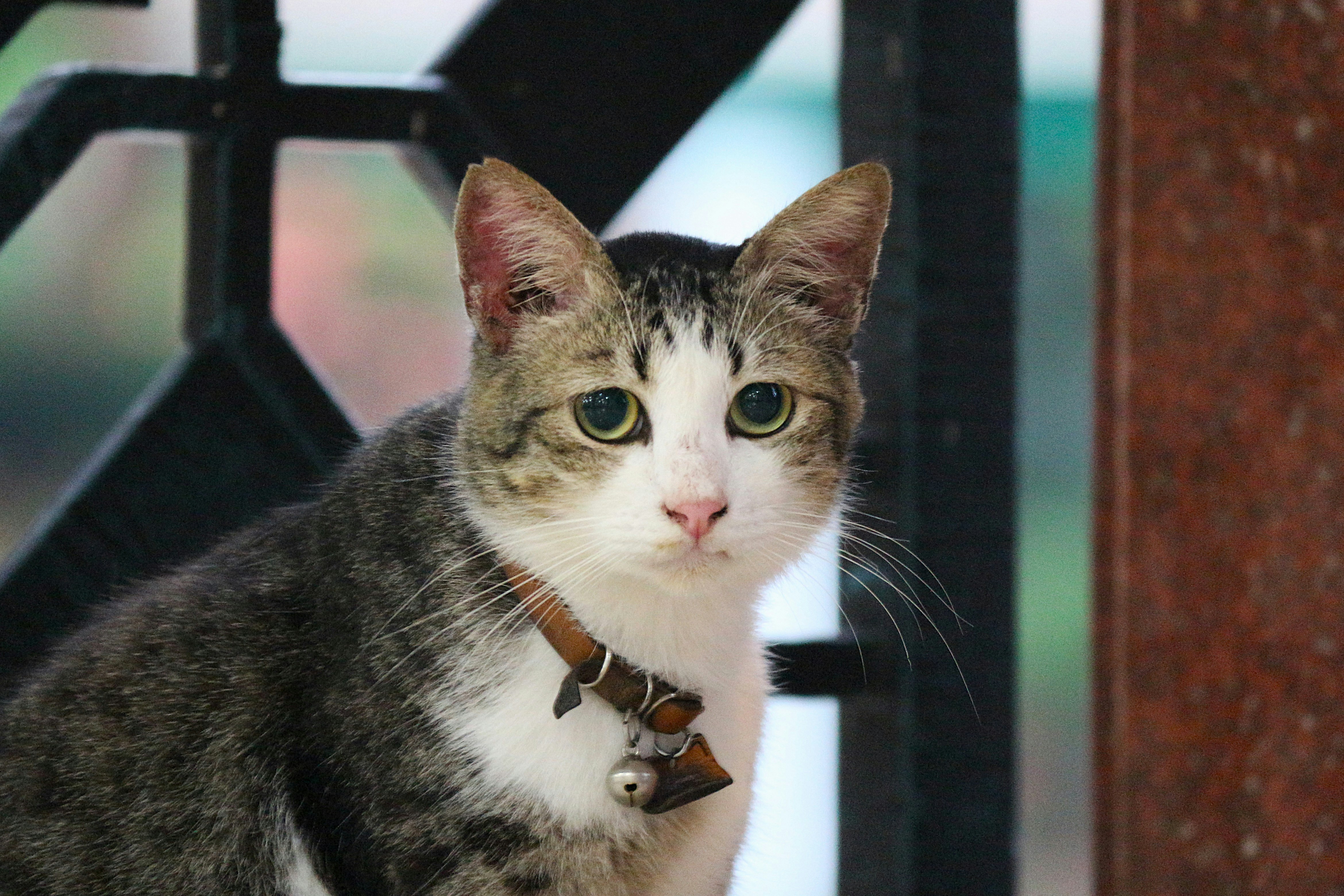 Photo by deskijayantoro