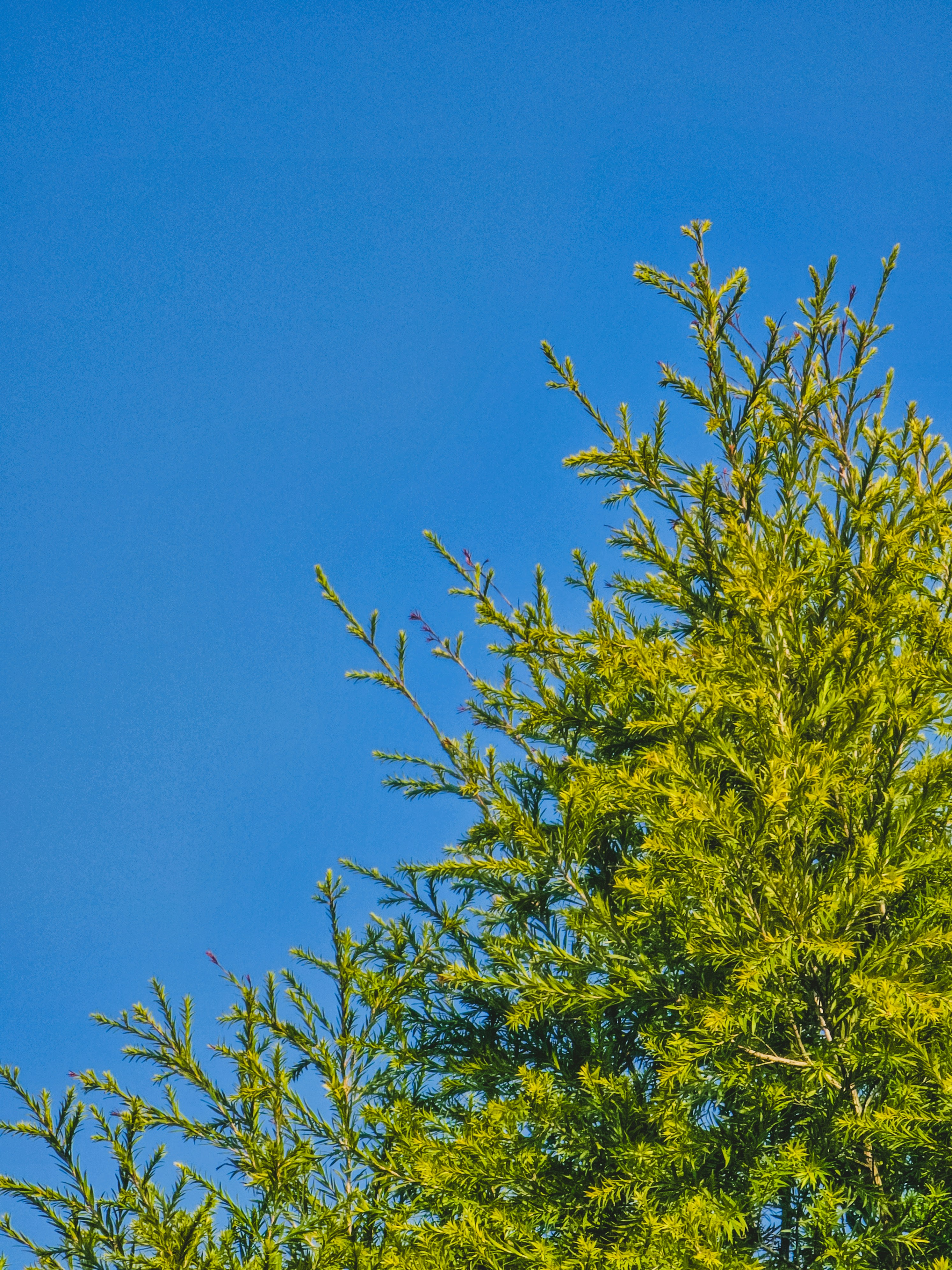 Photo by hypocriteeeee