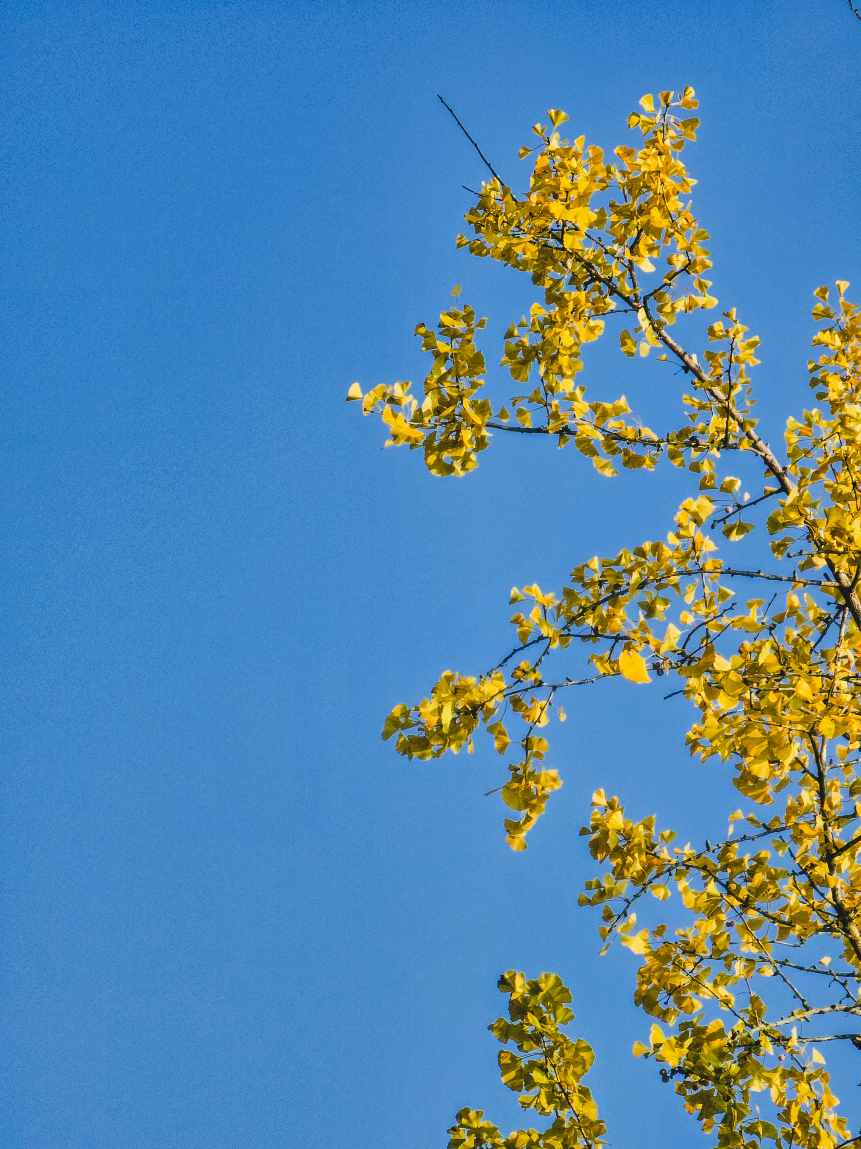 Photo by hypocriteeeee