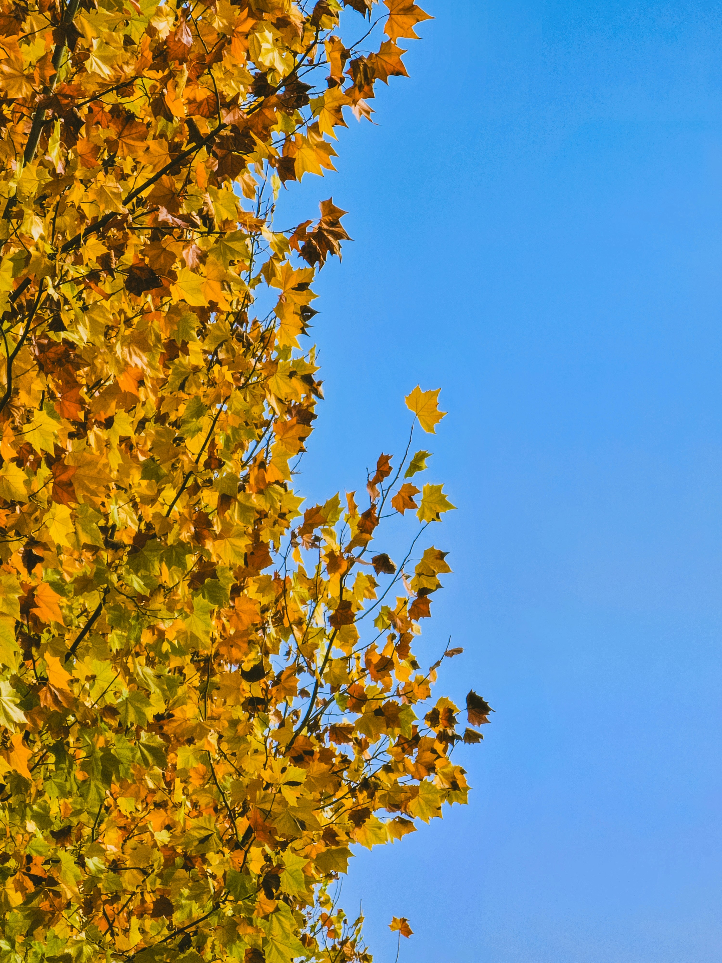 Photo by hypocriteeeee