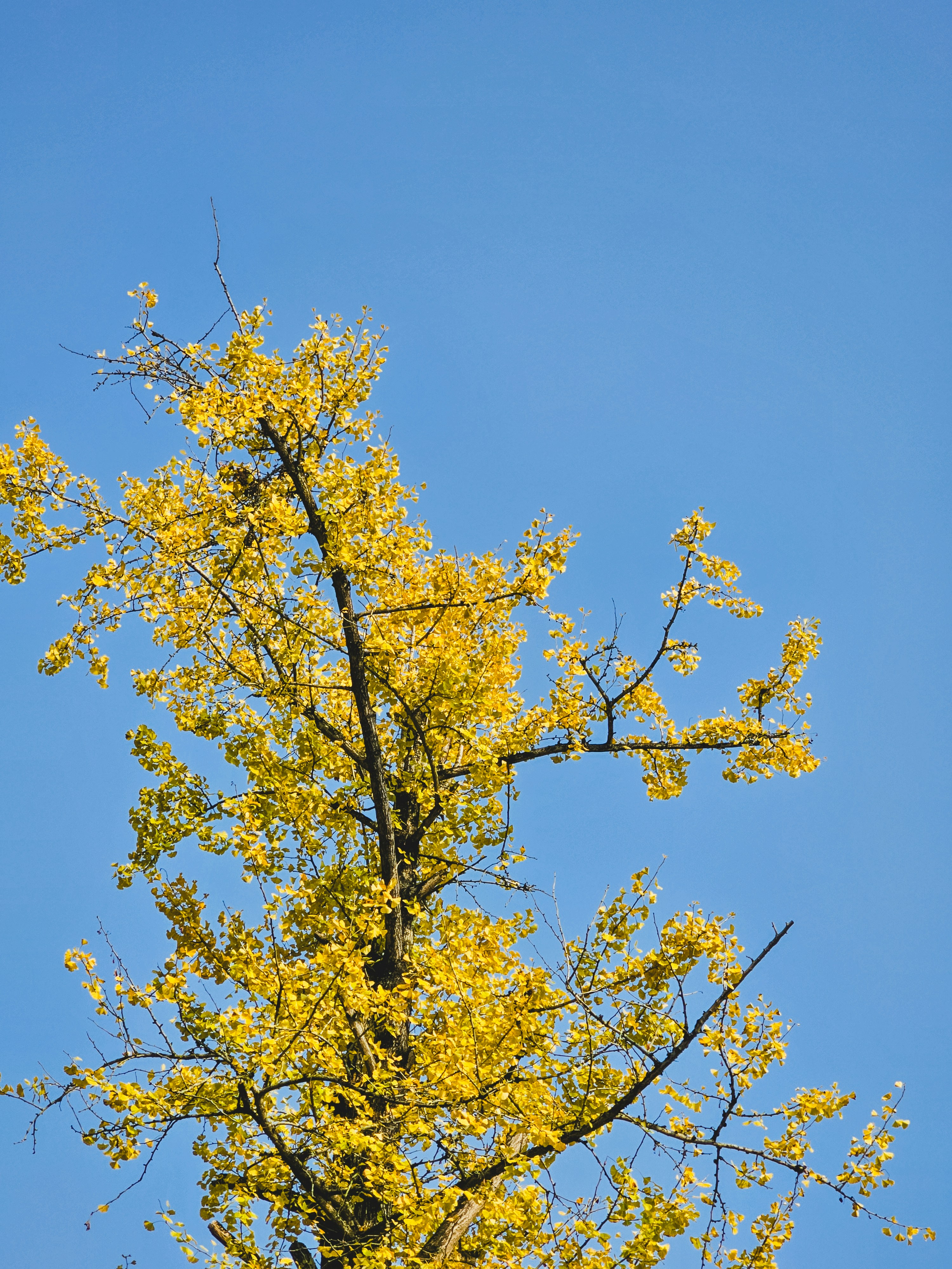 Photo by hypocriteeeee