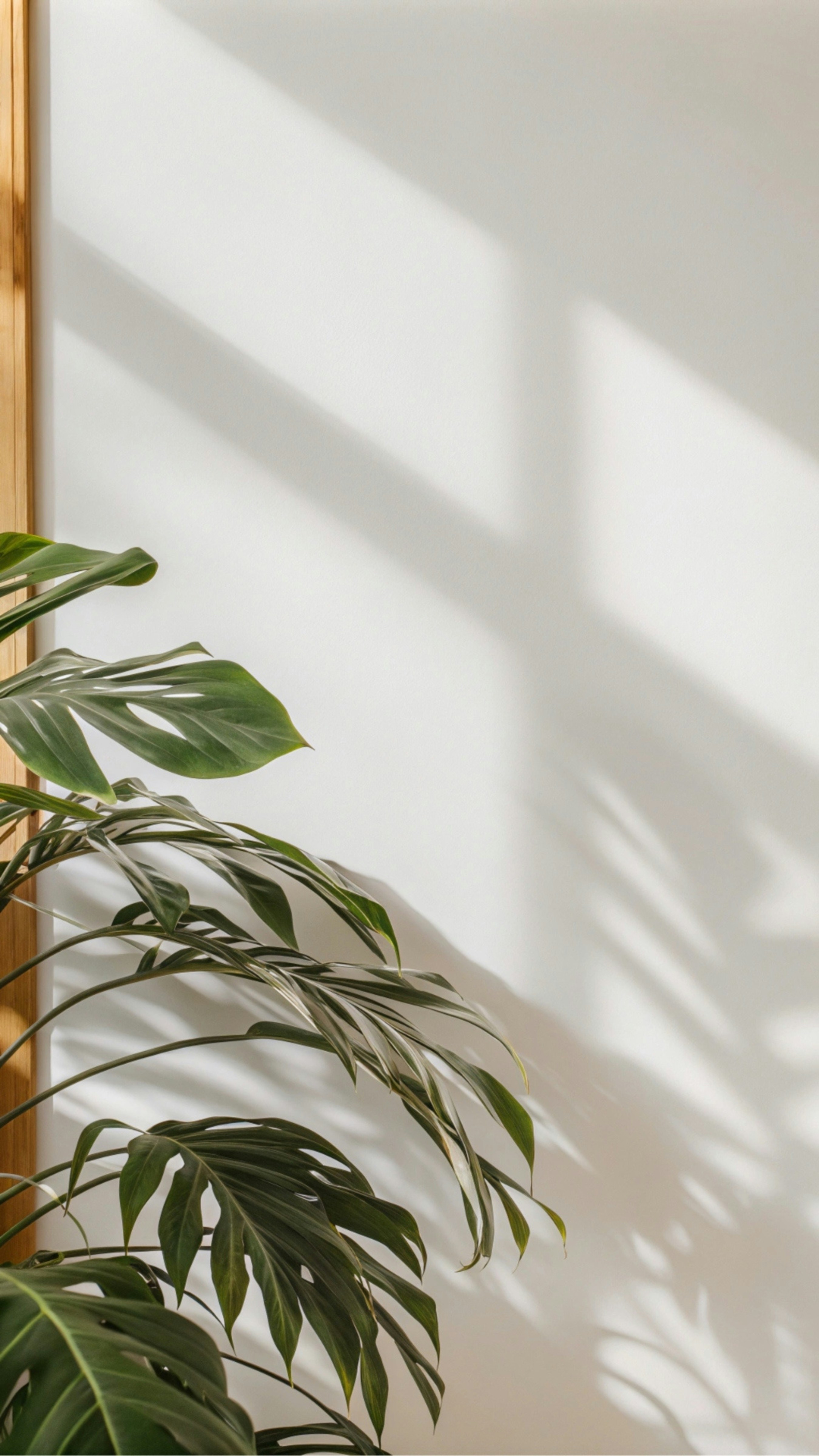 Eine Topfpflanze in einer Ecke eines Raumes