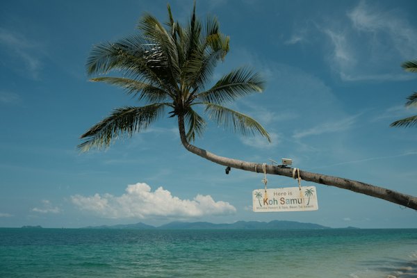 A palm tree leaning over a sign on a beach — Koh Samui, Thailand