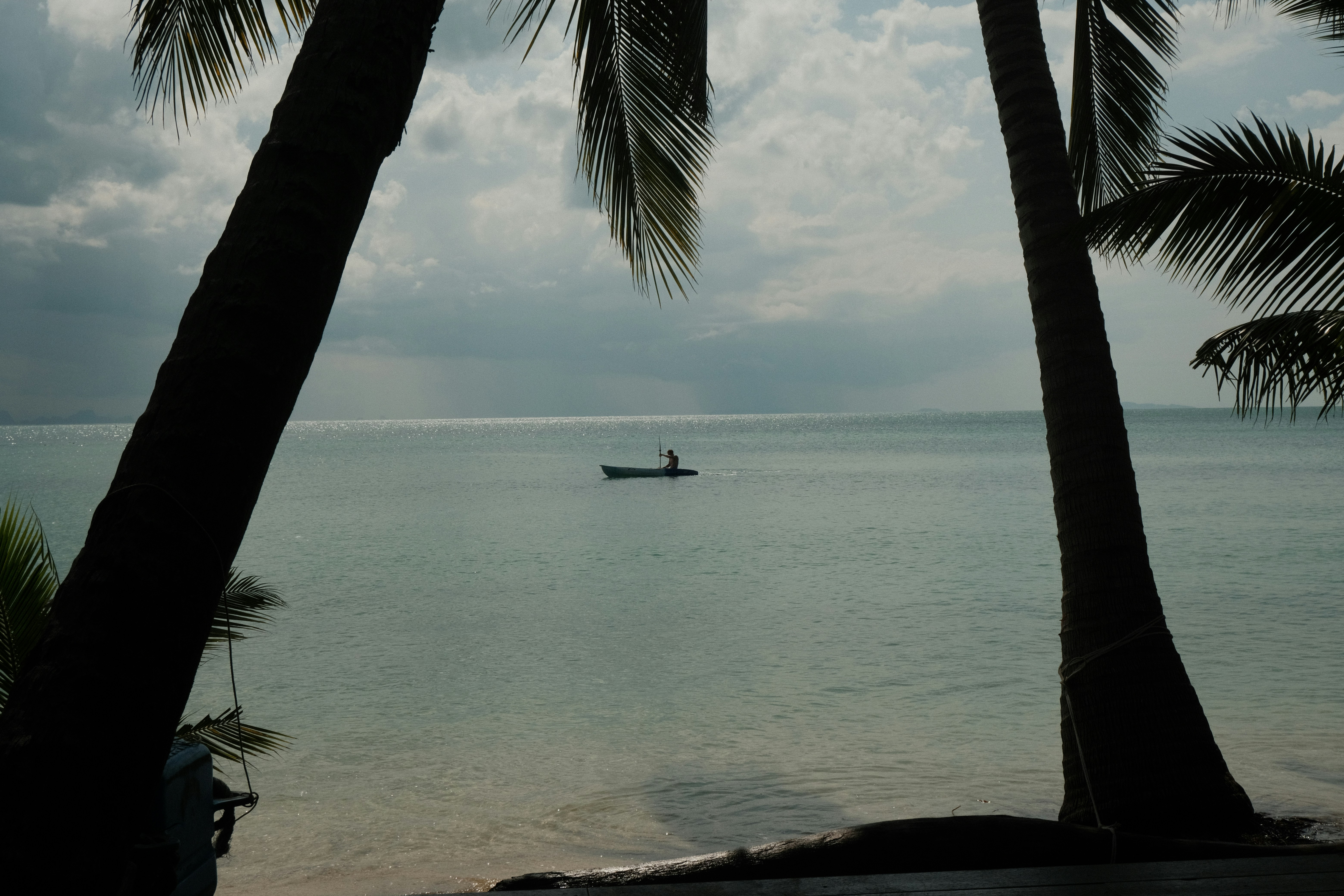 Photo by marius241001