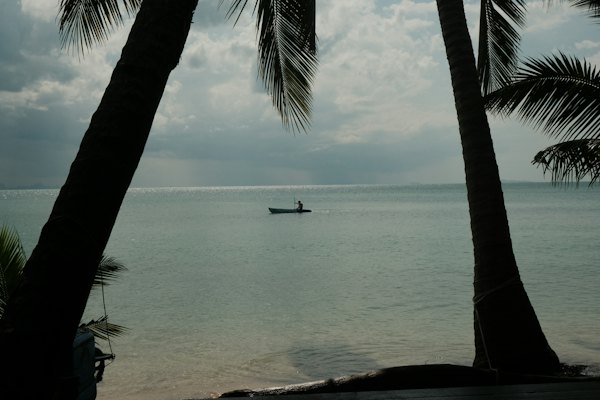 A boat is in the water between two palm trees — Koh Samui, Thailand